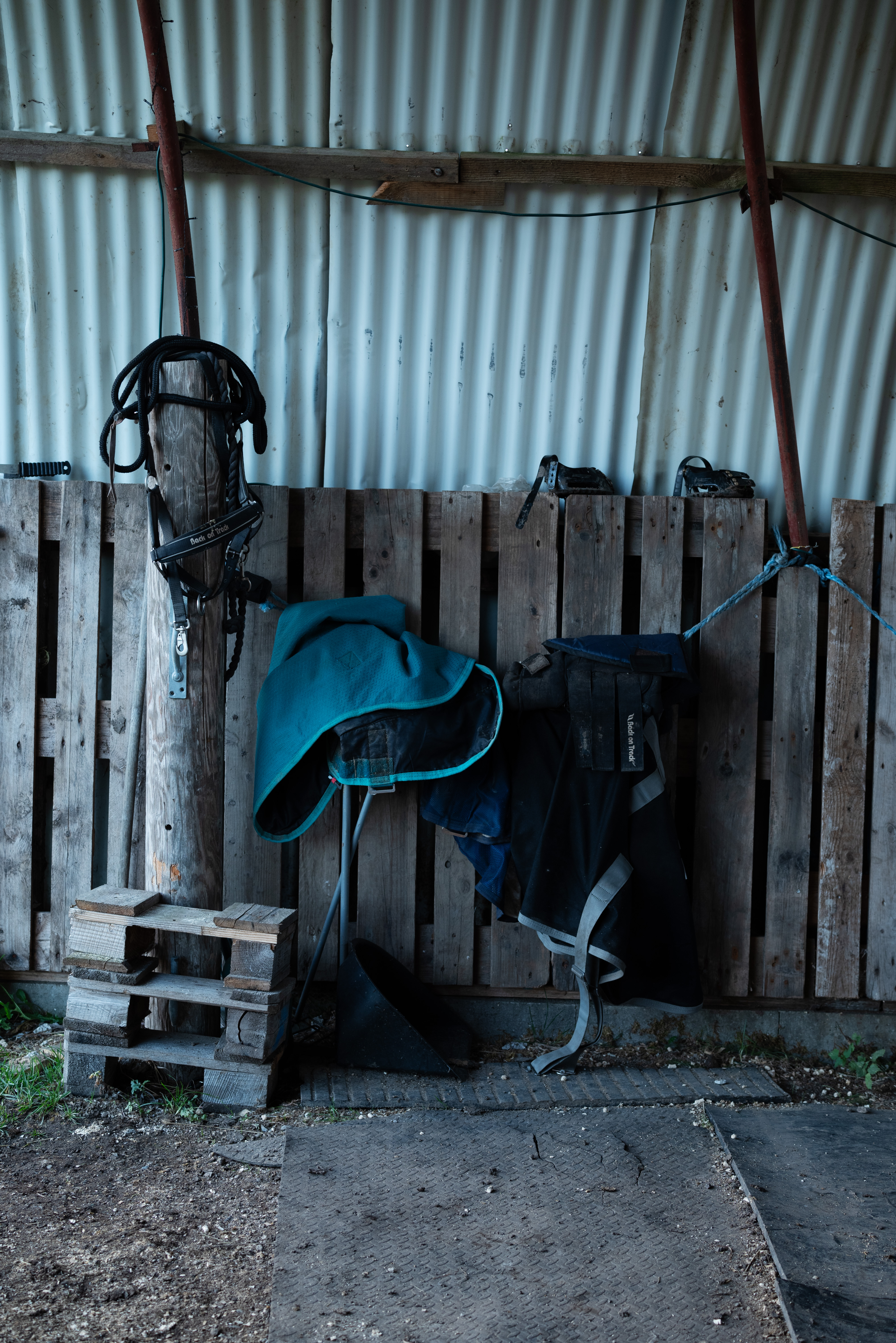 Pony’s riding gear is mostly unused. Aleksandra doesn’t ride her. Instead, they work on building trust and helping Pony overcome her own traumas. ©Julija Stankevičiūtė