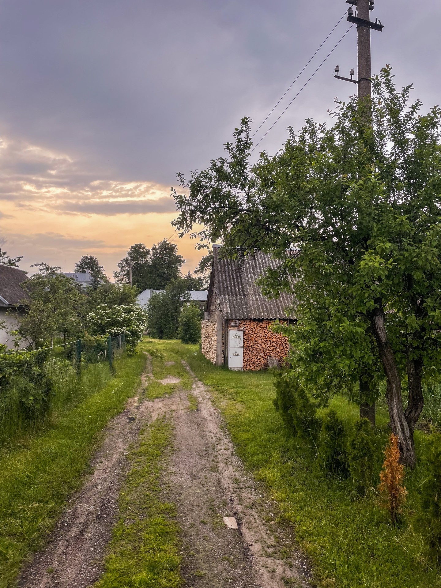 Road in Onuškis. ©Author’s personal archive