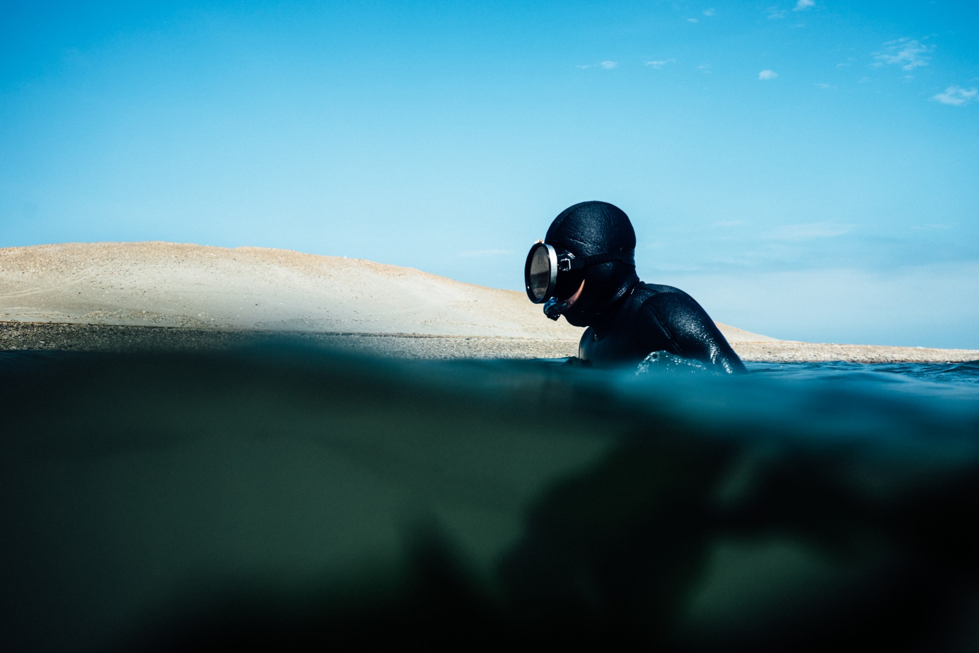Harvesting the Ocean