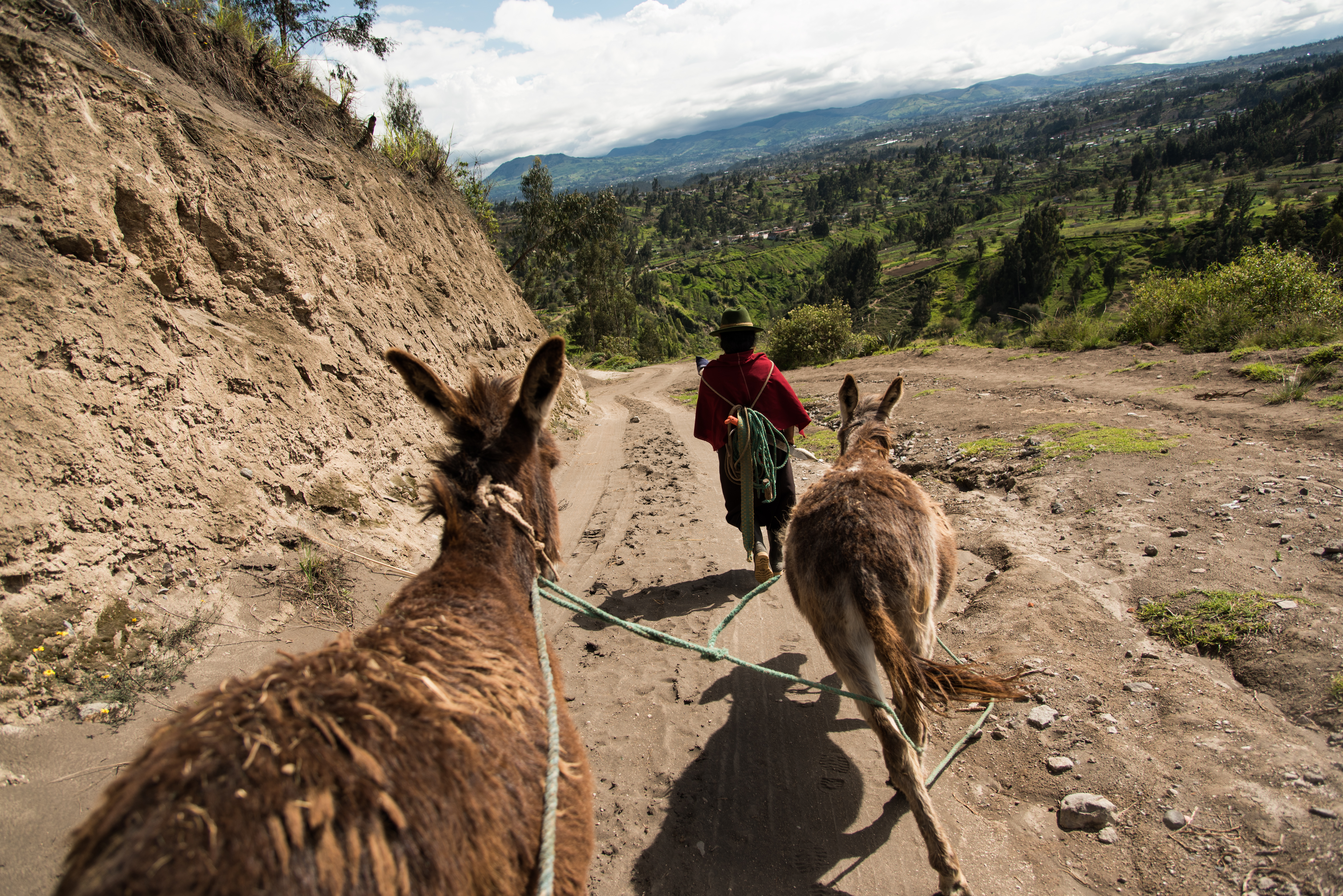 Sisters Martina Masaquiza Sailema and Luz Maria Masaquiza Sailema en route to the river where they cut and gather grass for the animals.