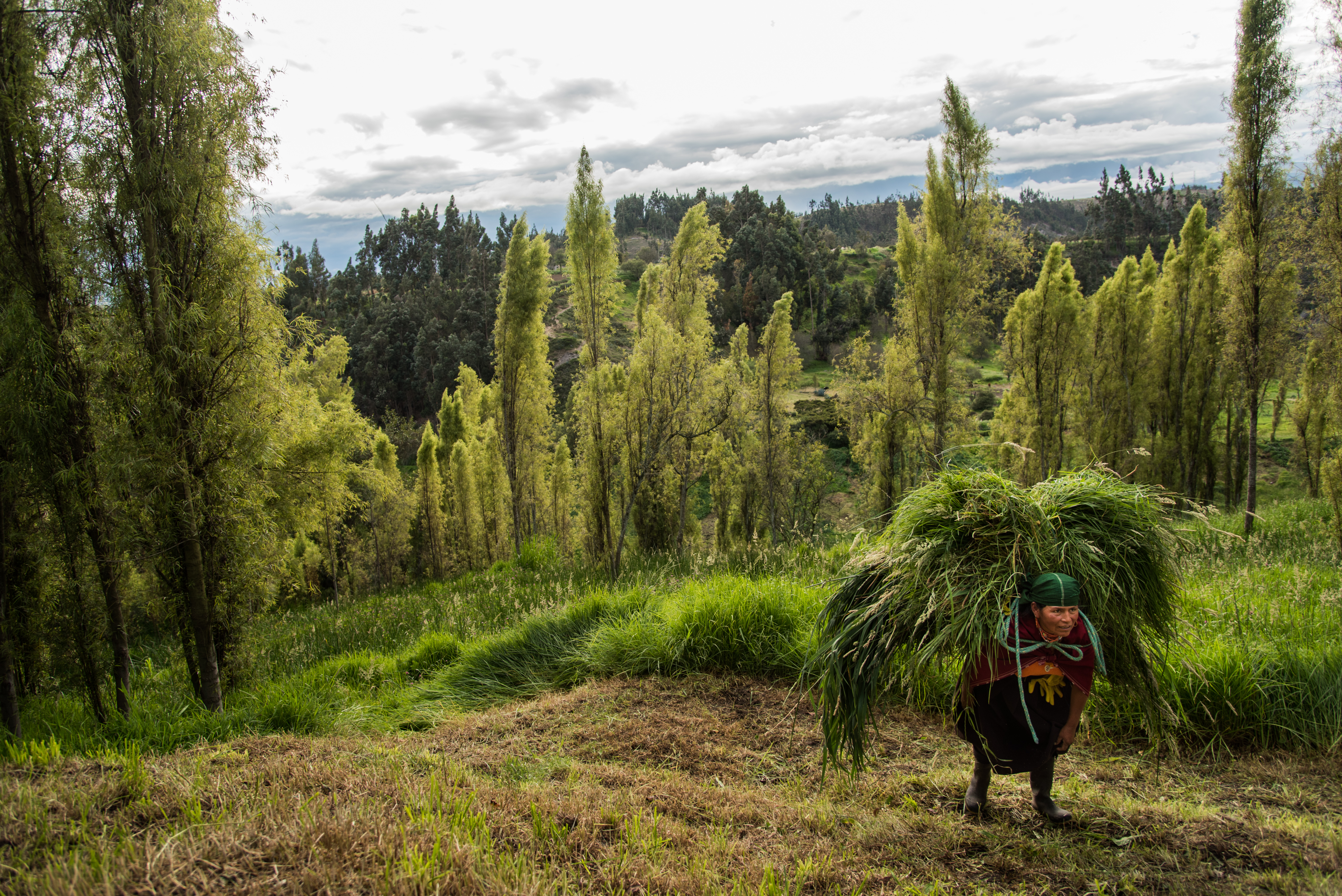 Women of Salasaca