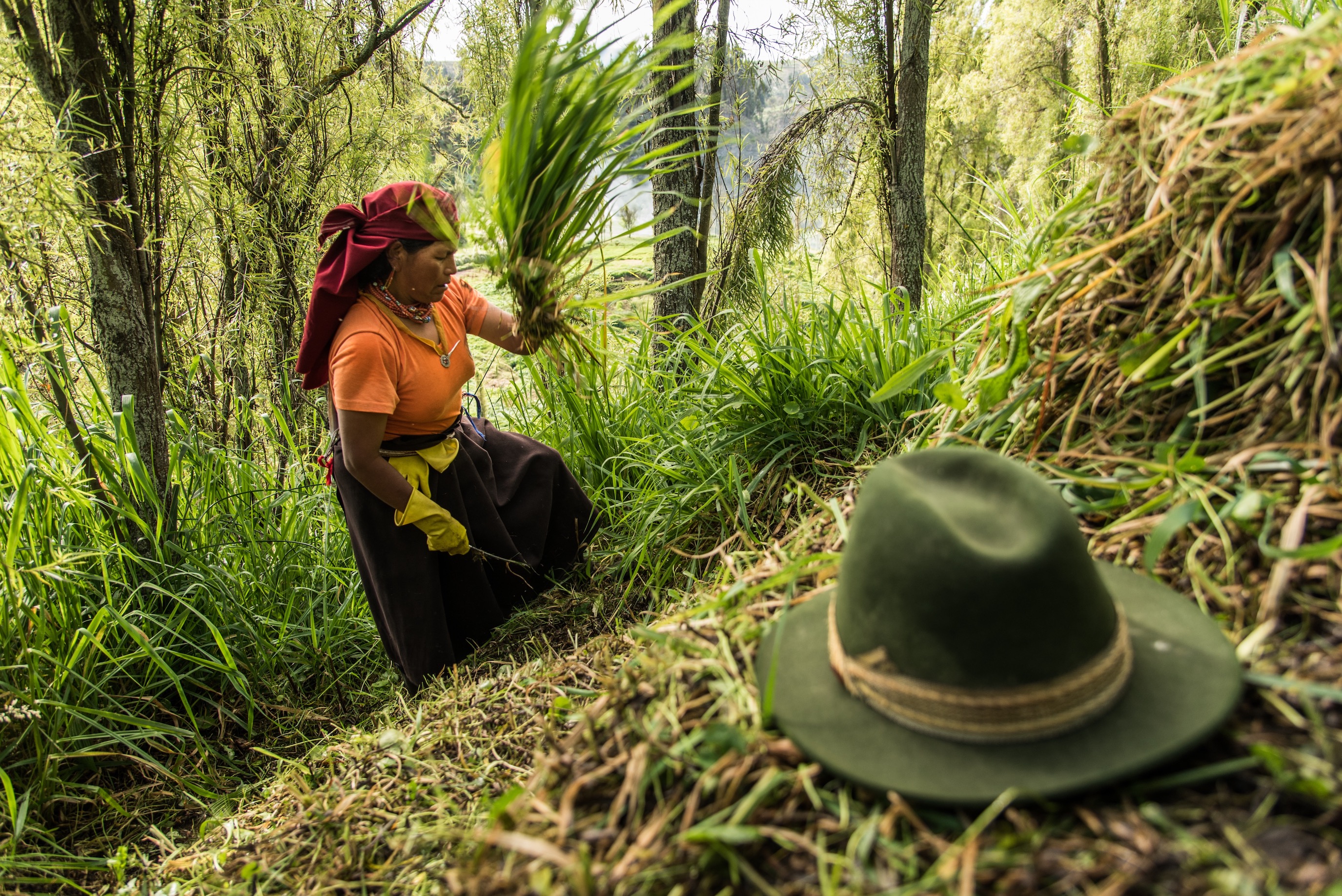The Women of Salasaca And Traditions of Ecuador's Andes