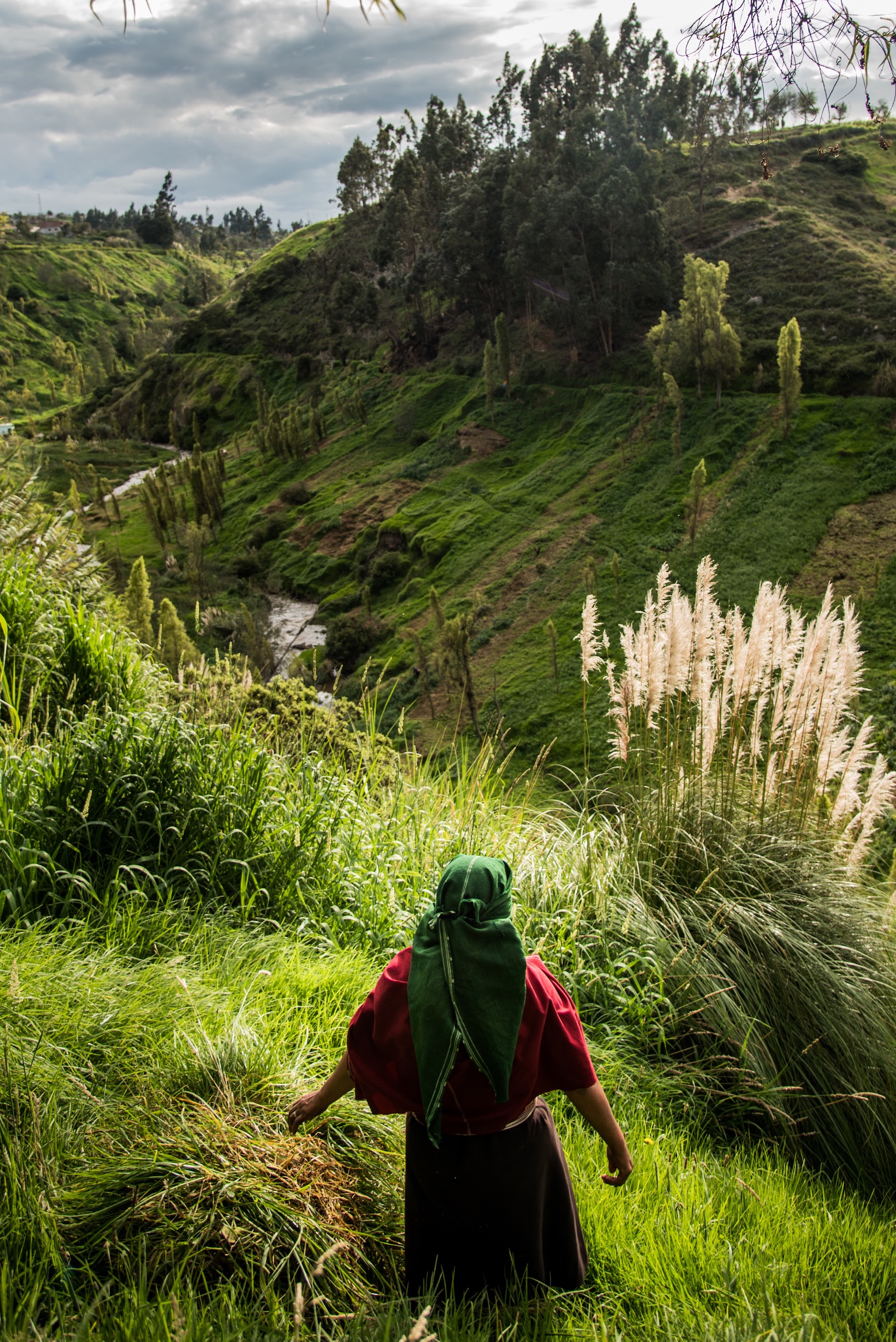 Both huge, steep slopes of the river are somebody’s property, but the patches are not marked or separated in any way.