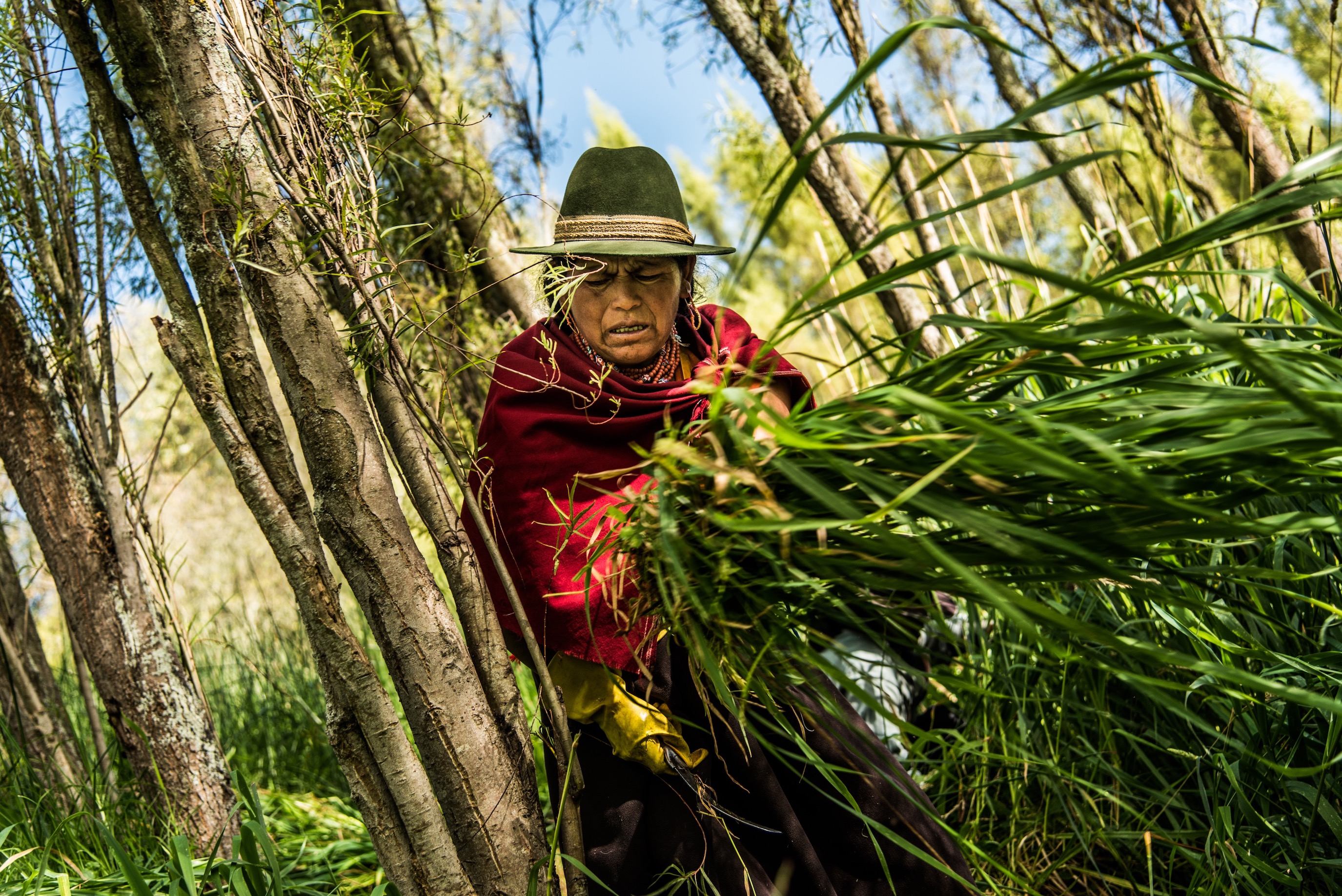 Women of Salasaca