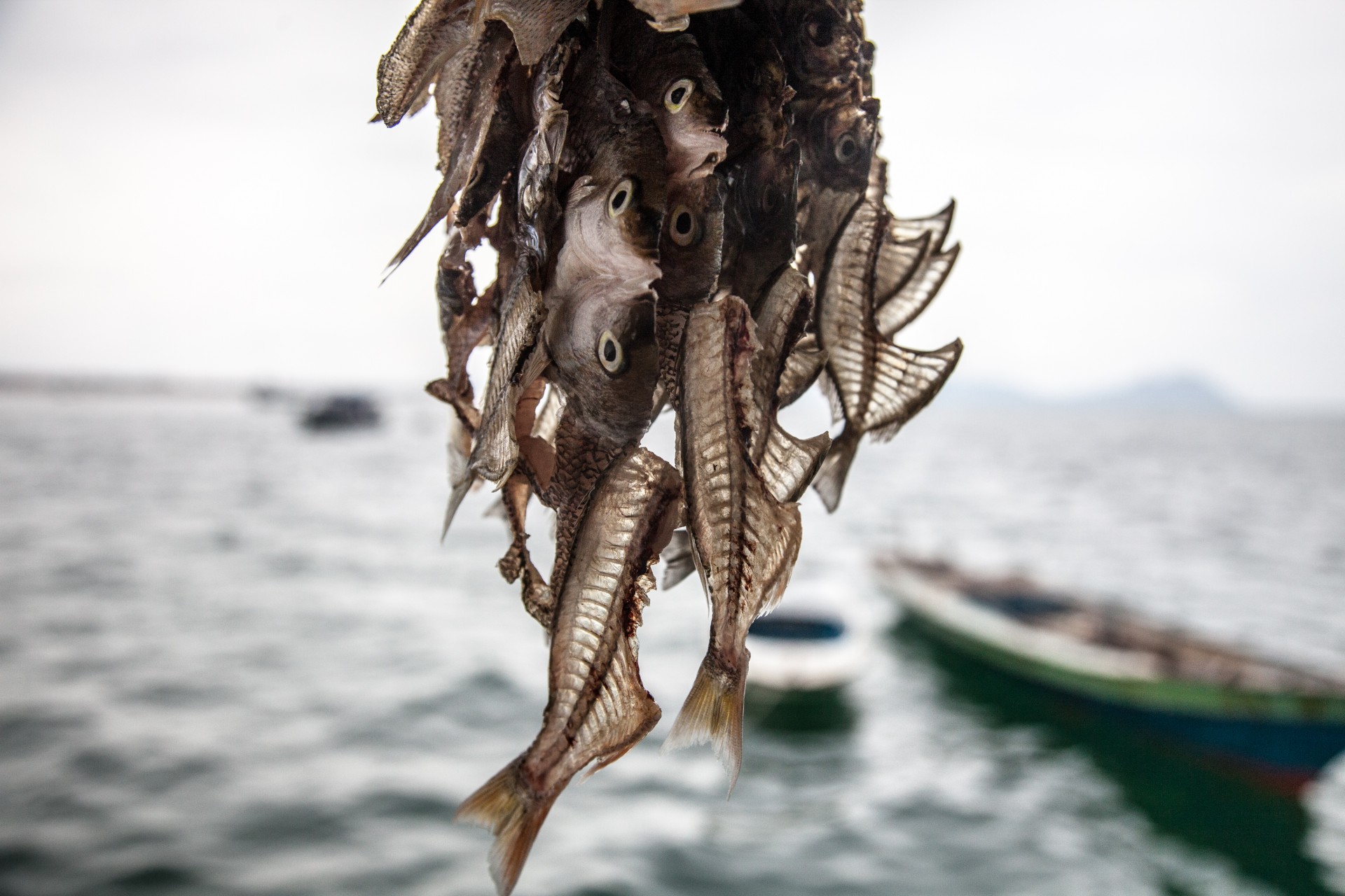 People of the Ocean