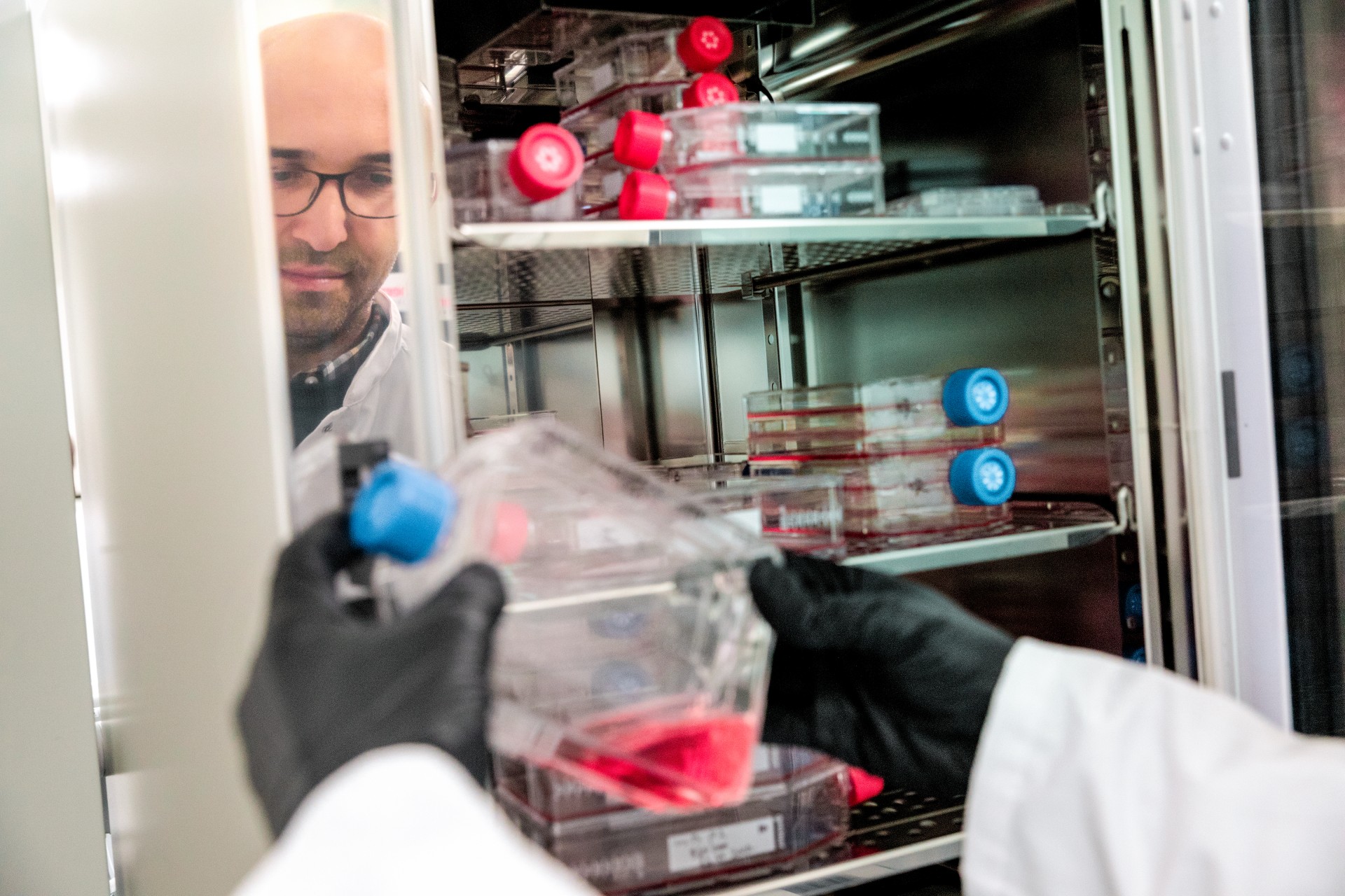 „Mosa Meat“ employee inspecting a flask in a lab for cultivated meat. This start-up based in the Netherlands raised $55 million dollars in 2013. ©Mosa meat
