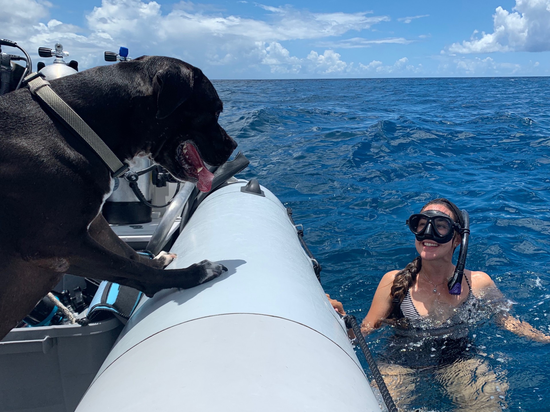 Elena Salim Haubold at work with her dog Blacky.