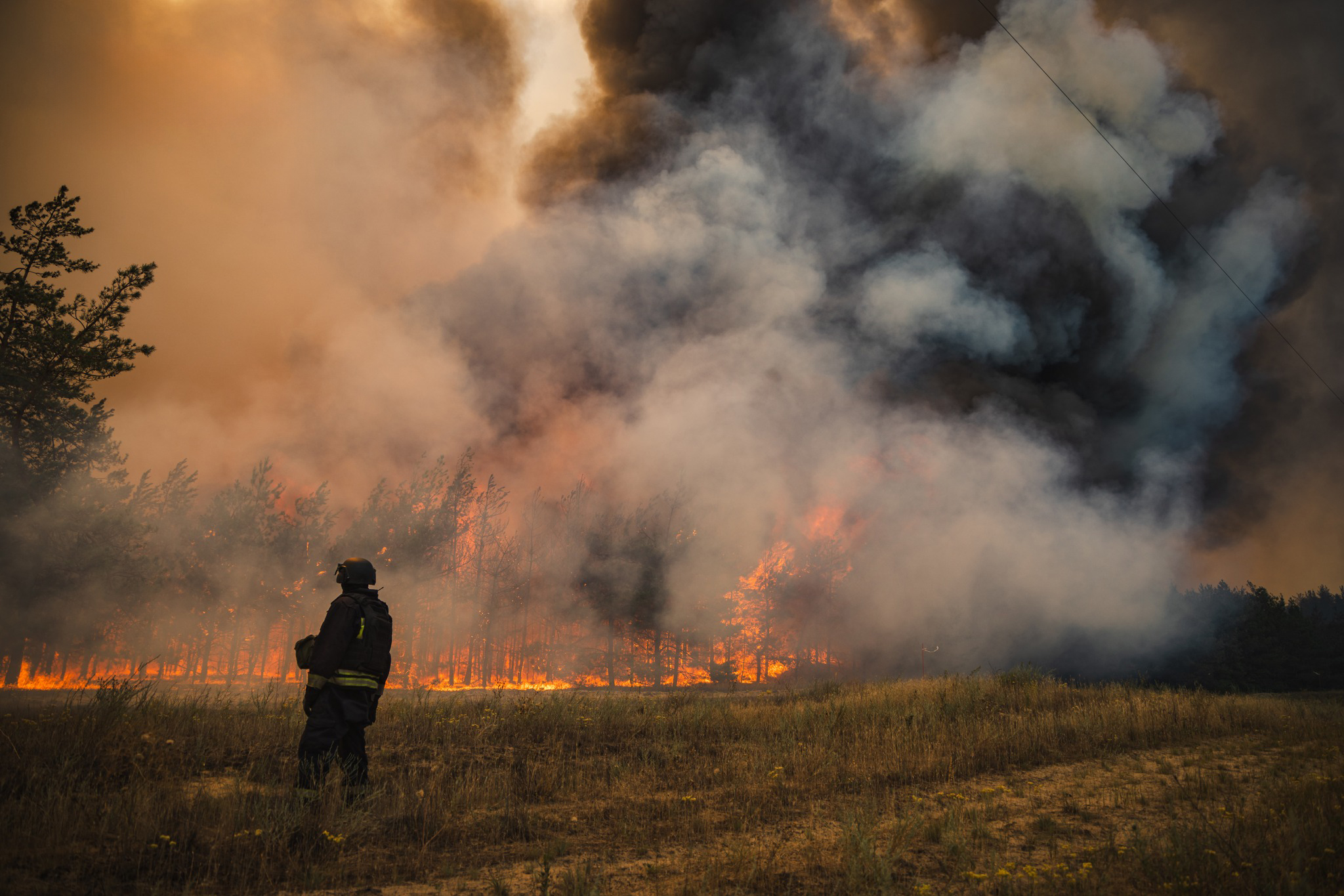 Forest fire in Kramatorsk District. Russia’s war has turned Ukraine into the most fire-scarred country in Europe, with forests, wildlife, and communities bearing the cost. ©The State Emergency Service of Ukraine