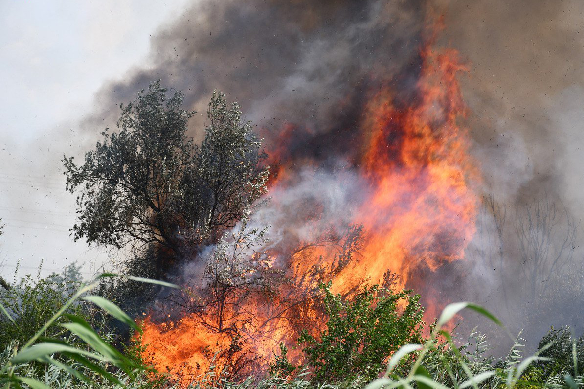 Burning forest in the Balabanivka locality of Mykolaiv city following Russian shelling on 10 August 2022. ©The State Emergency Service of Ukraine