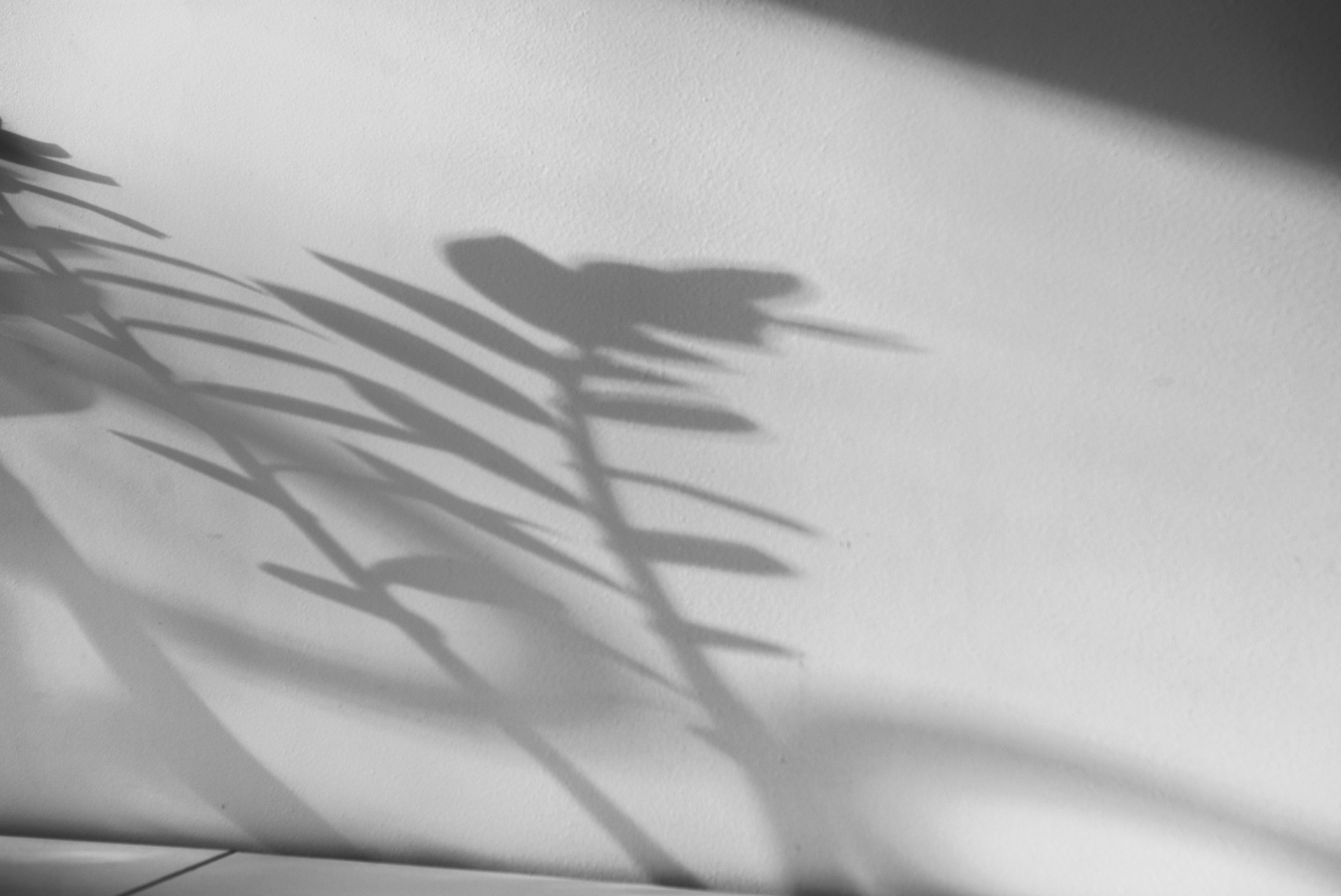 ©Martyna Šulskutė