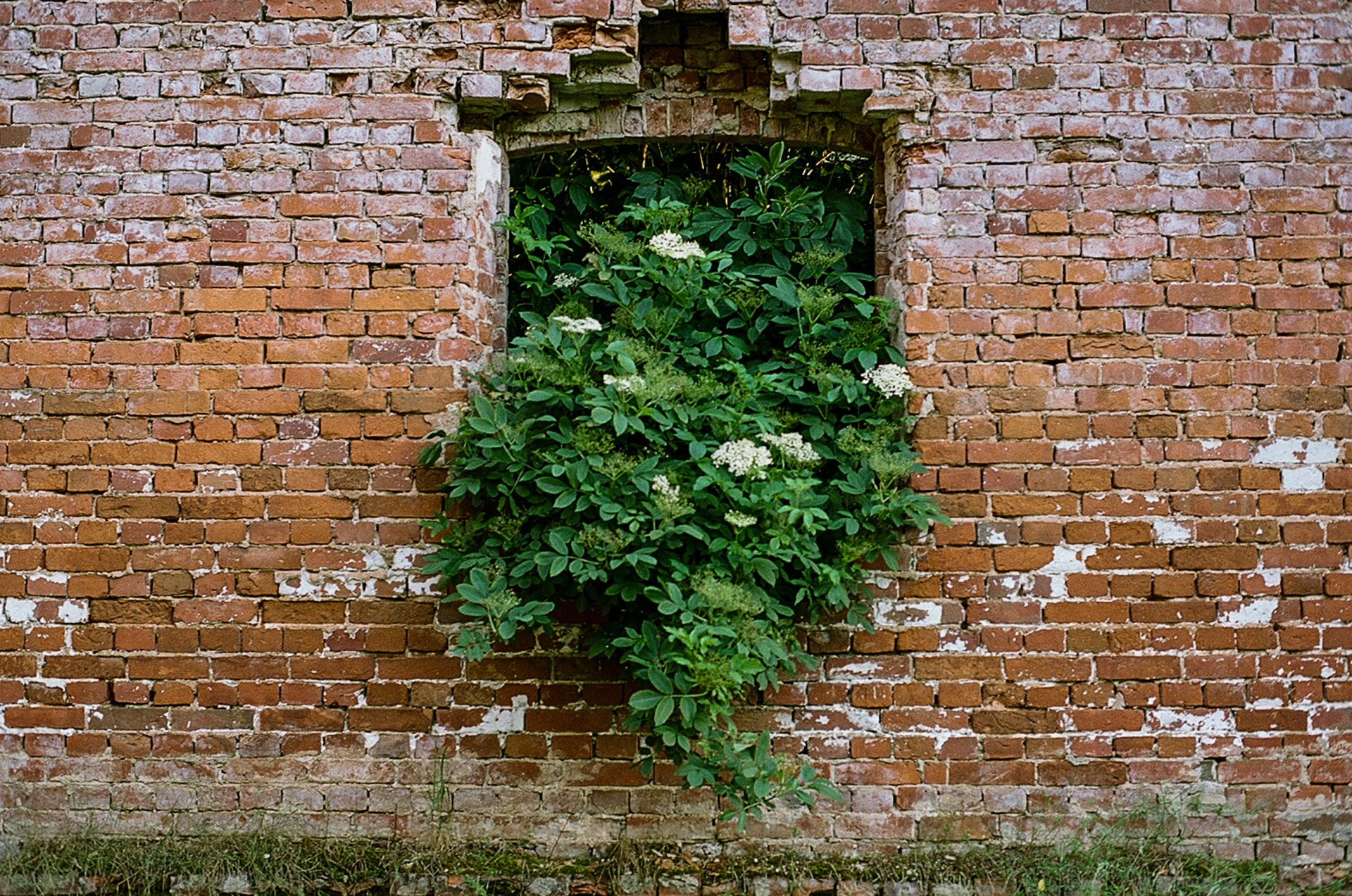 ©Martyna Šulskutė
