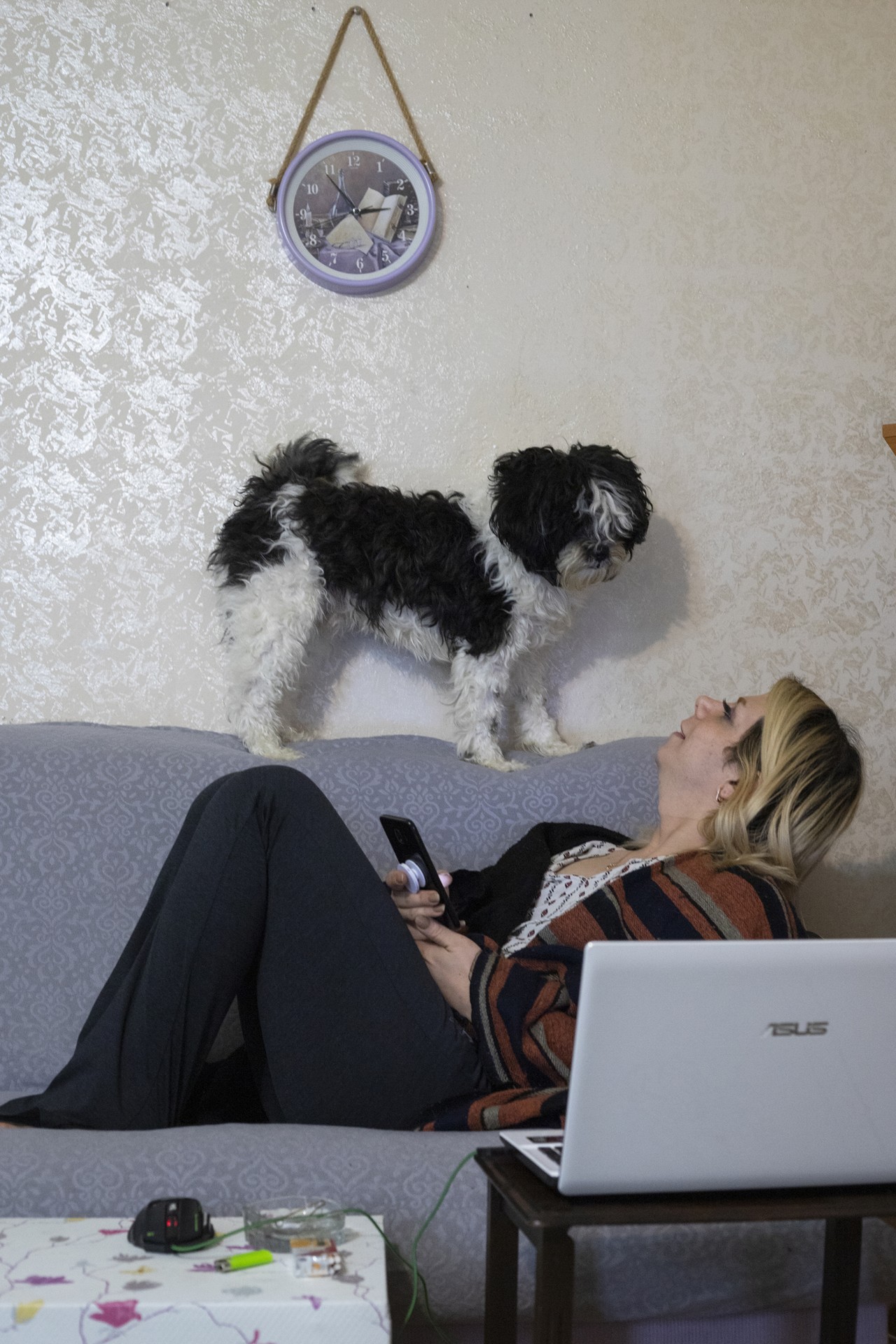 Baran loves her dogs and has brought them to Turkey from Iran.