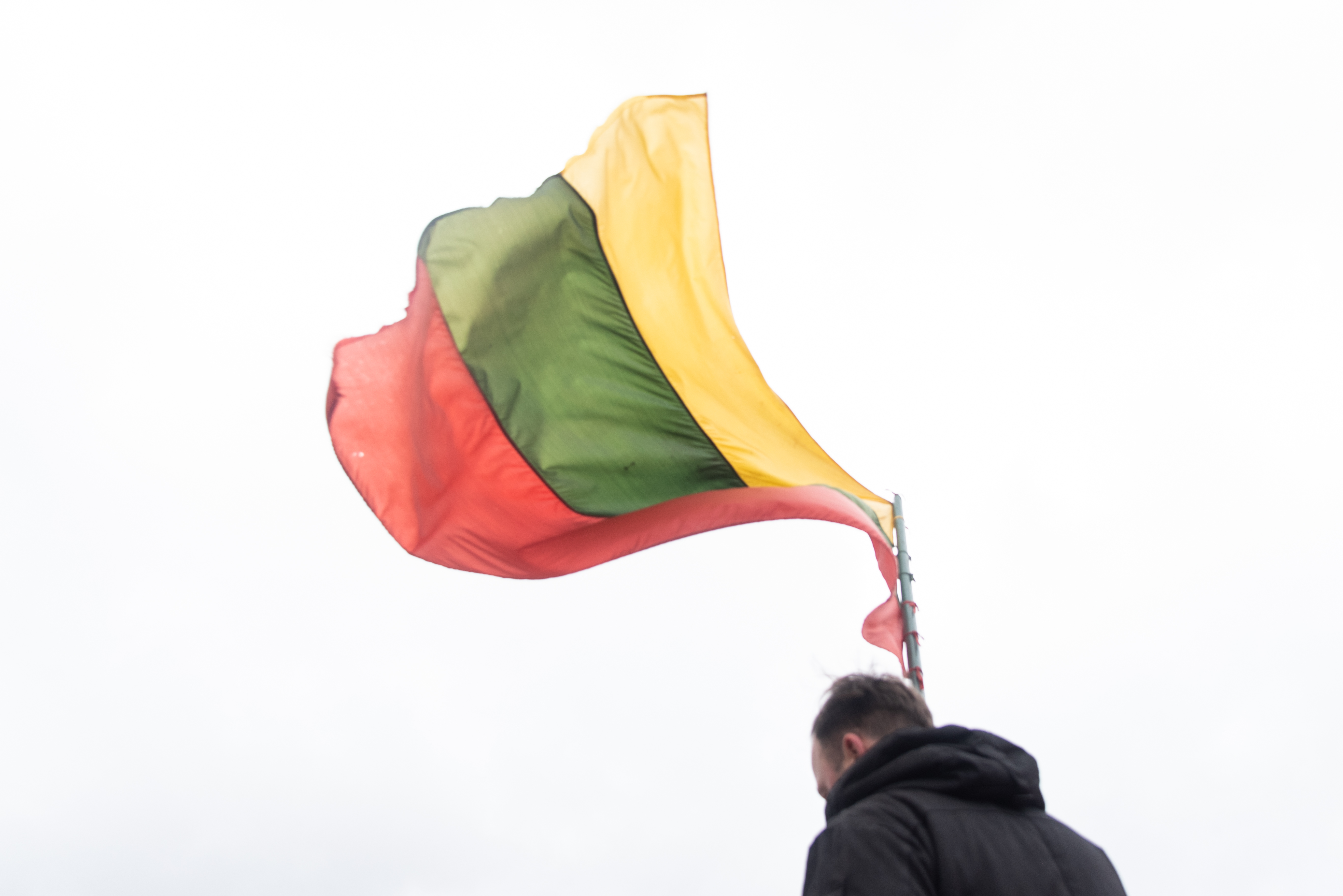 Kovo 11-osios minėjimas Vilniuje, koronaviruso Lietuvoje pradžioje ©Severina Venckutė