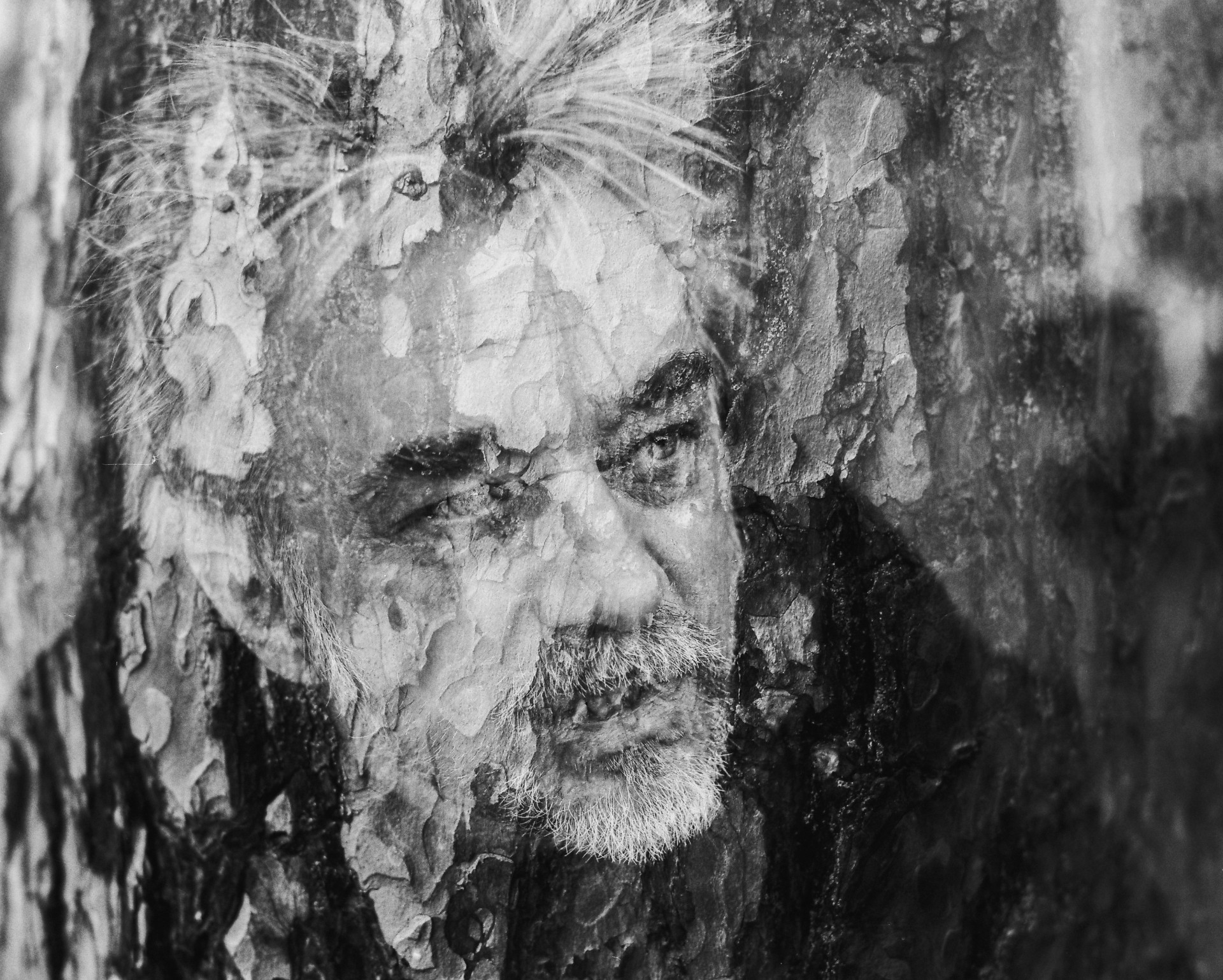 Andrius Mamontovas
