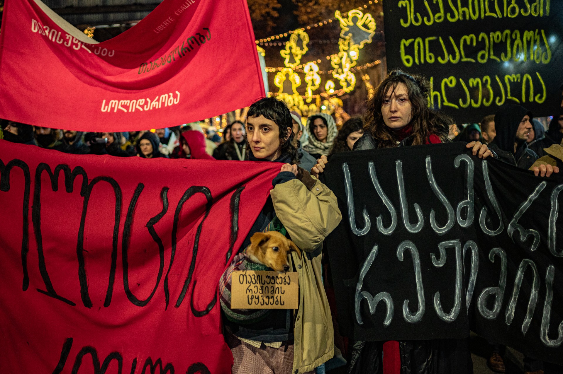Dar vienas protestas Sakartvele, dar vienas nusivylimas valdžia
