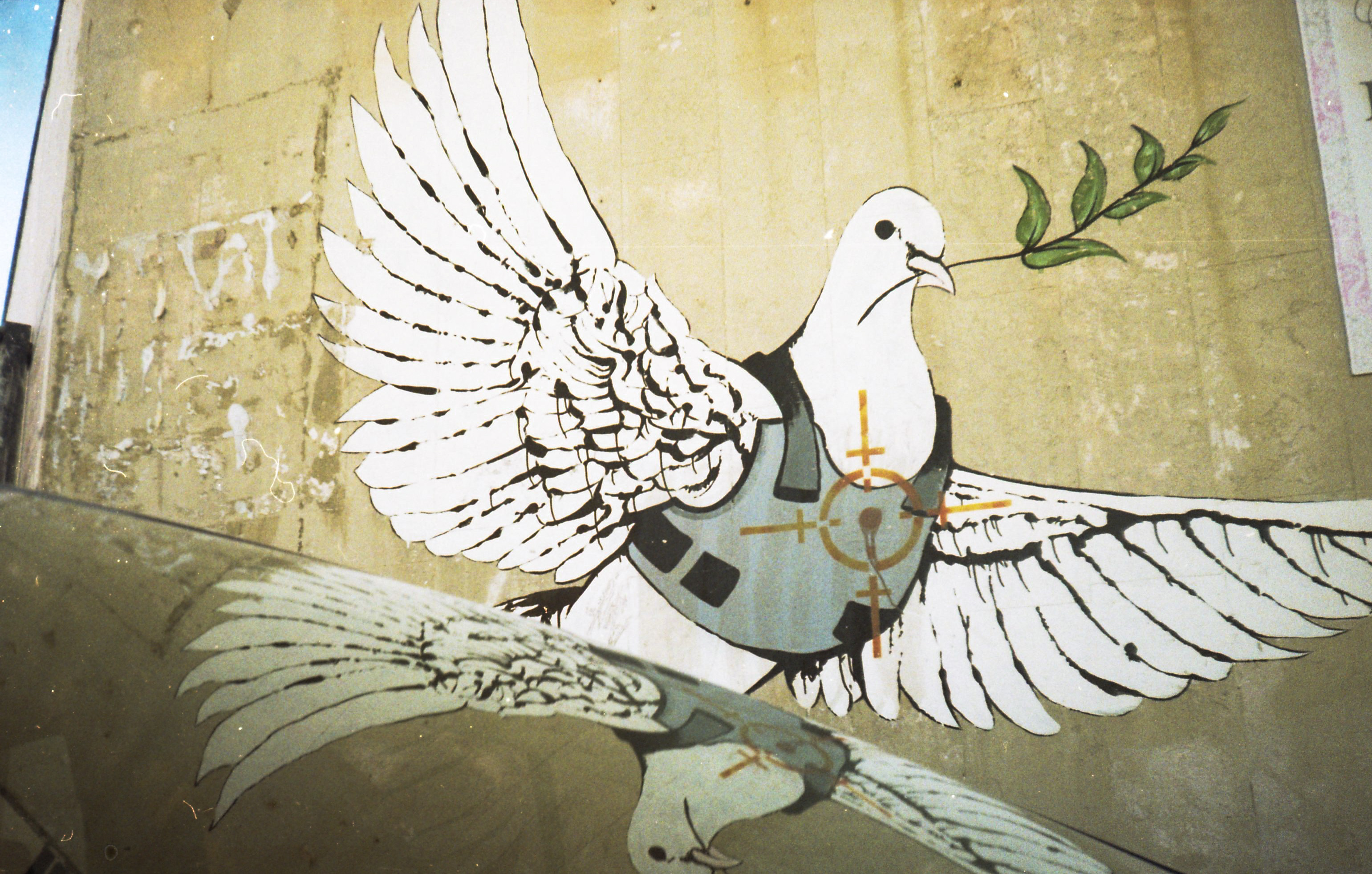 Taikos balandis Vakarų Krante, Palestinoje. Menininko Banksy darbas. ©Berta Tilmantaitė