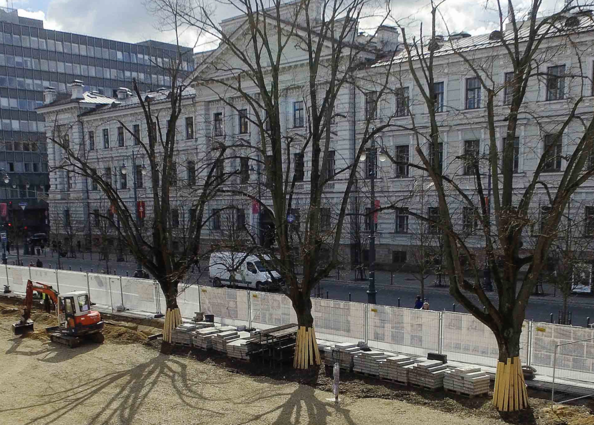 Vilniaus Lukiškių aikštės liepos, mirtinai pažeistos per aikštės rekonstrukciją 2016 m. ©„Spalvos“