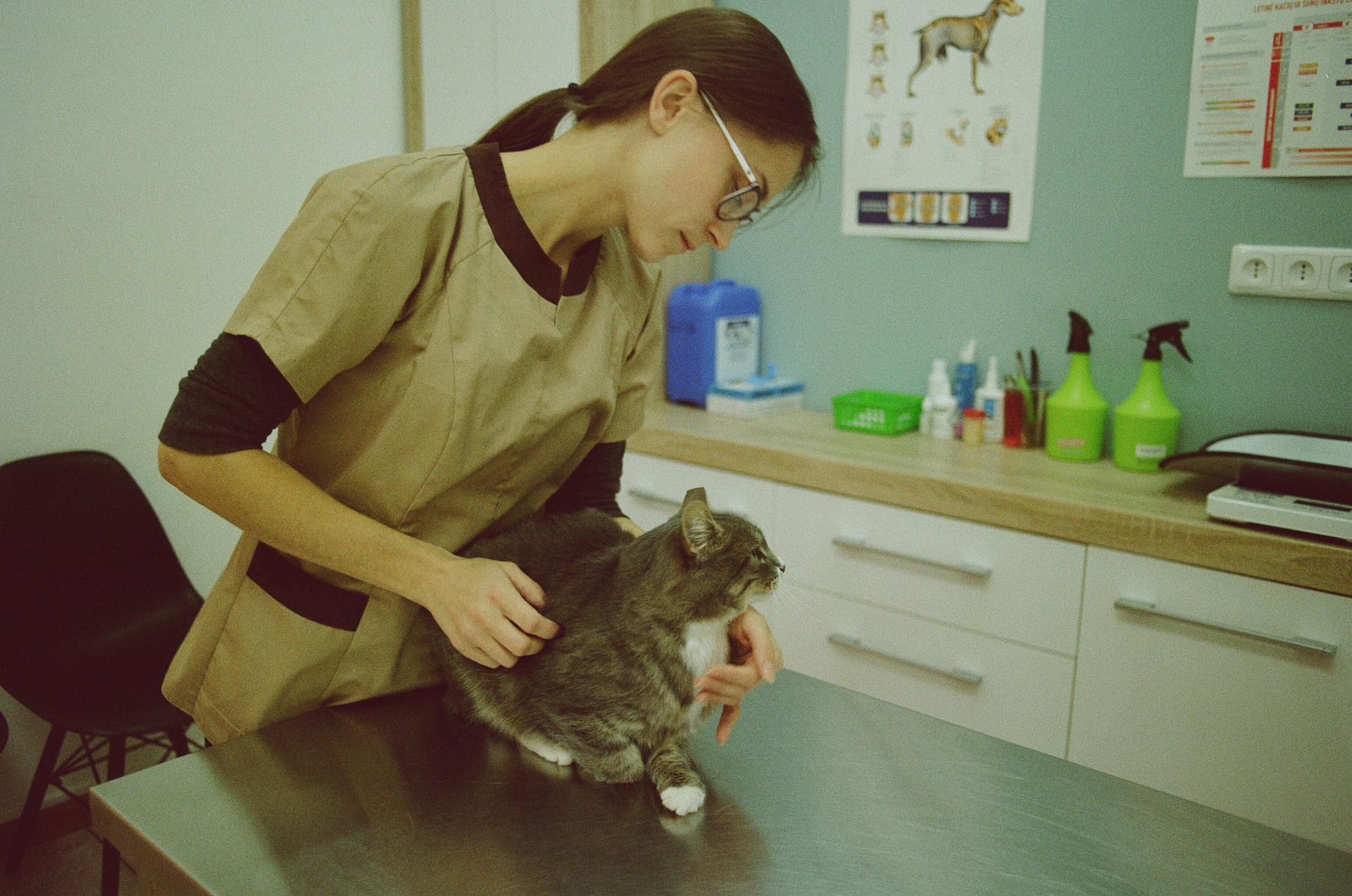Veterinarijos klinikos vadovė Diana Suchocka savo darbo vietoje. ©Martyna Šulskutė