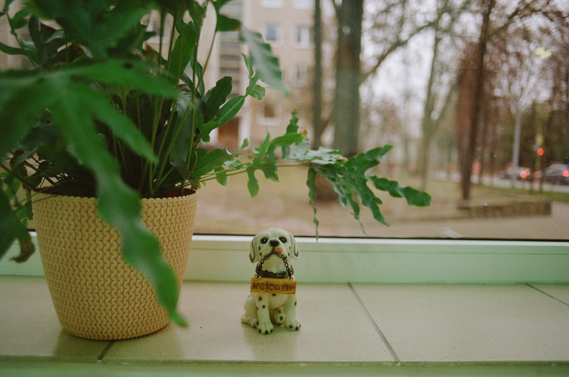 Dianos Suchockos klinika. ©Martyna Šulskutė