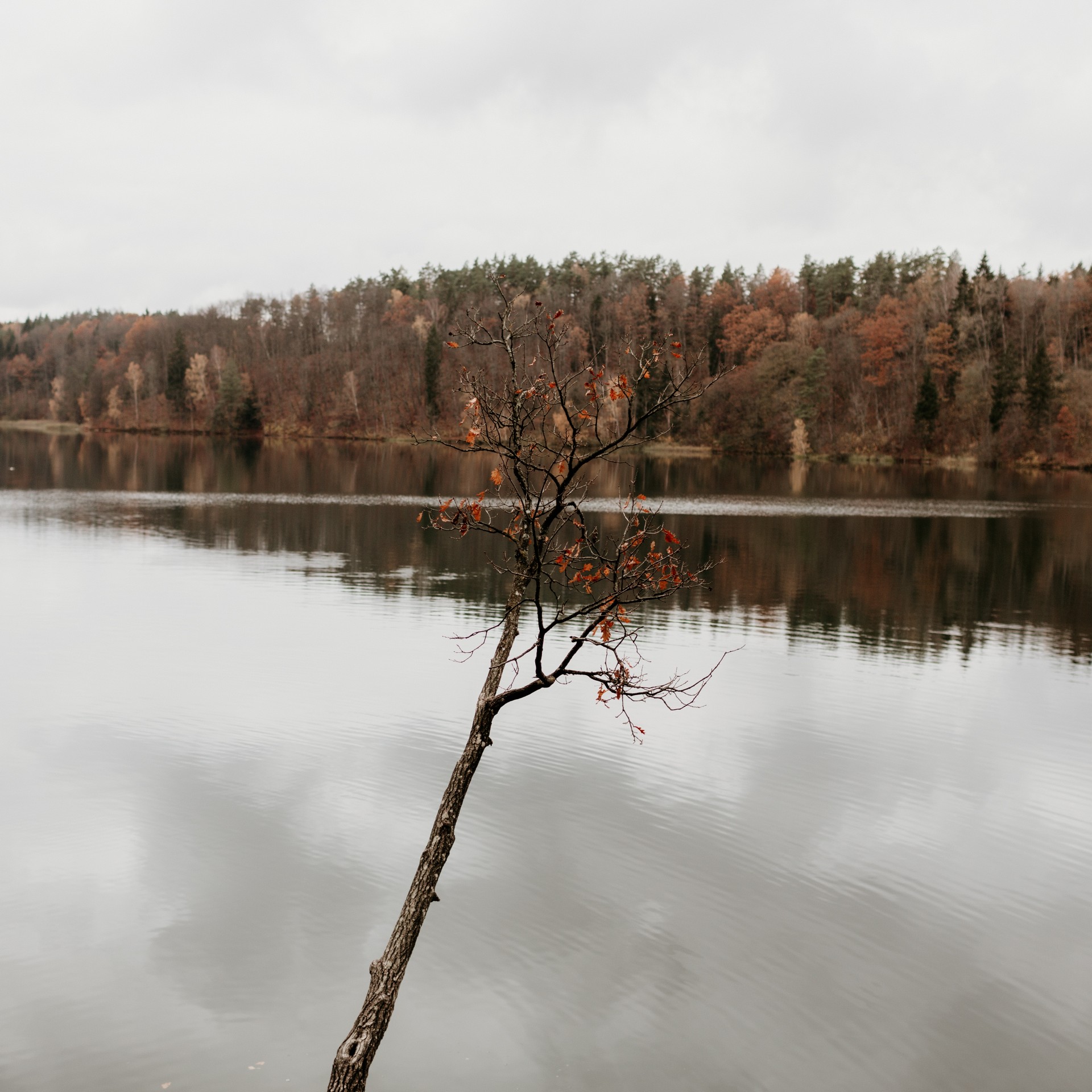 Apie silpną Ievos regėjimą interviu autorė Berta sužinojo šiai paklausus, ar ežeras, prieš kurį jos abi sėdėjo, yra didelis. ©Mingailė Žemaitytė-Meldaikė