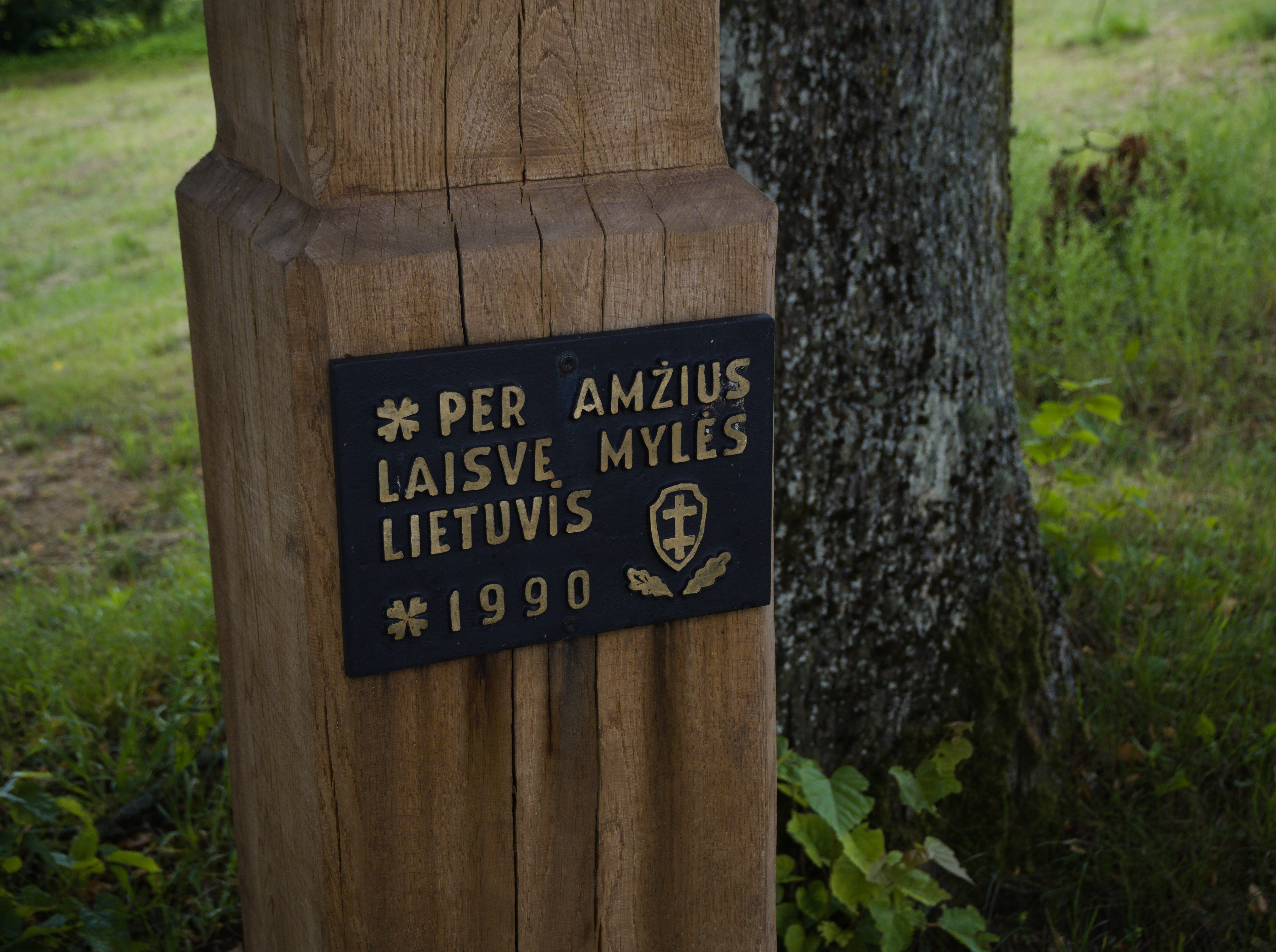 Kapčiamiesčio pietuose stovintis kryžkelės kryžius. ©Gabrielė Šlenytė