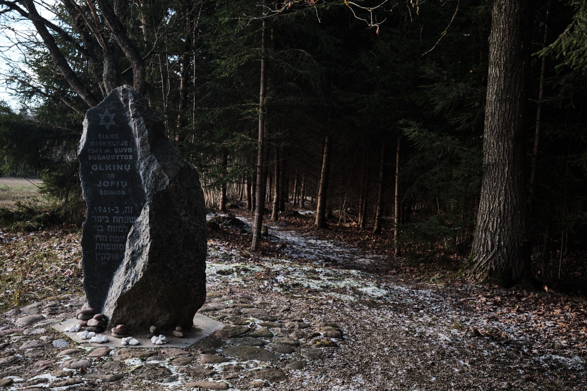 Paminklas, skirtas atminti Olkinų ir Jofių šeimoms, sušaudytoms 1941 m. miškelyje prie seno žvyrkelio tarp Panemunėlio ir Rokiškio.