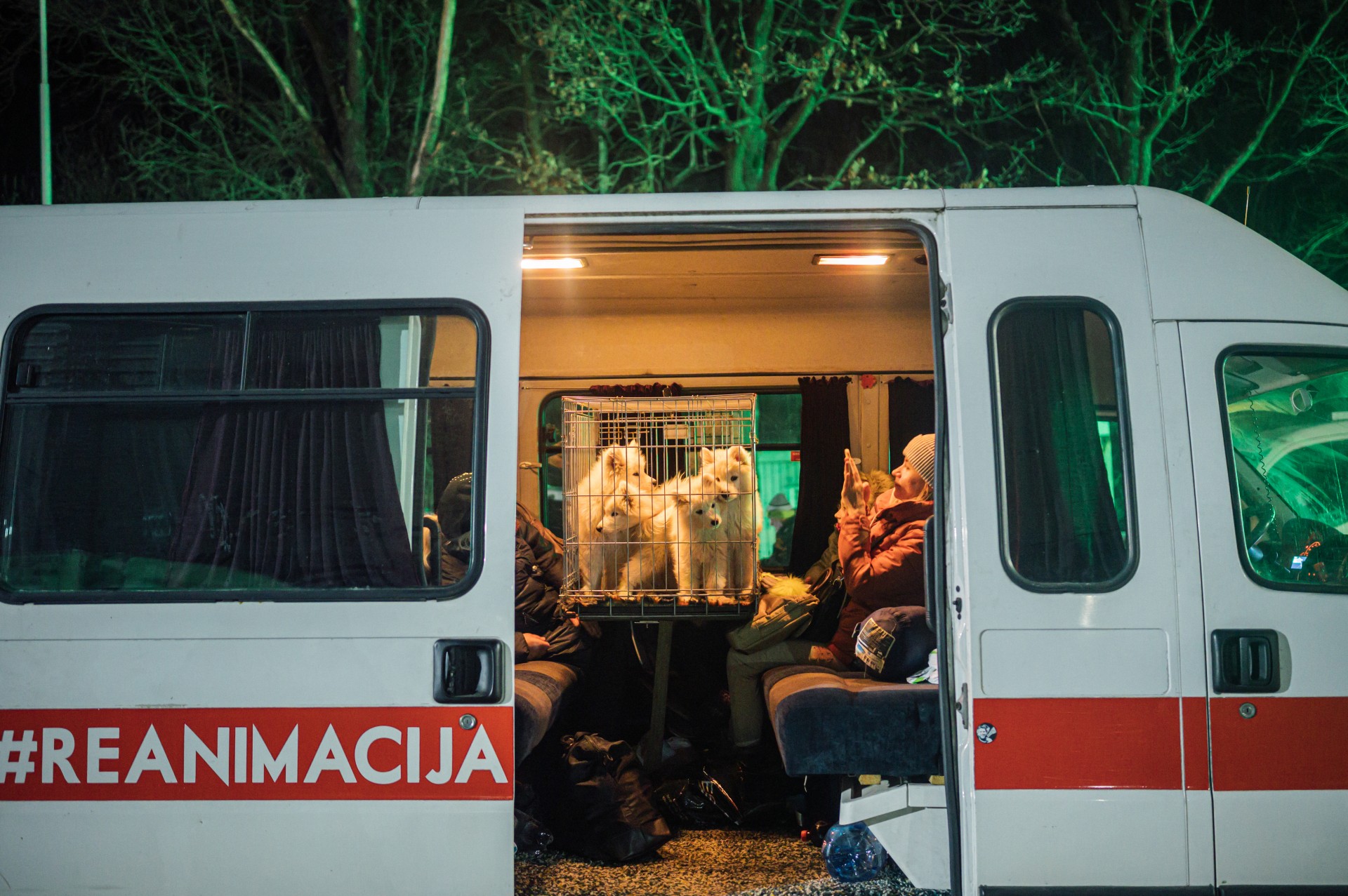 „Reanimacijos“ autobusiuke kartu su mumis važiuoja penki samojedų šuniukai, kuriuos šeimininkė iš Irpinės paprašė pervežti per sieną.