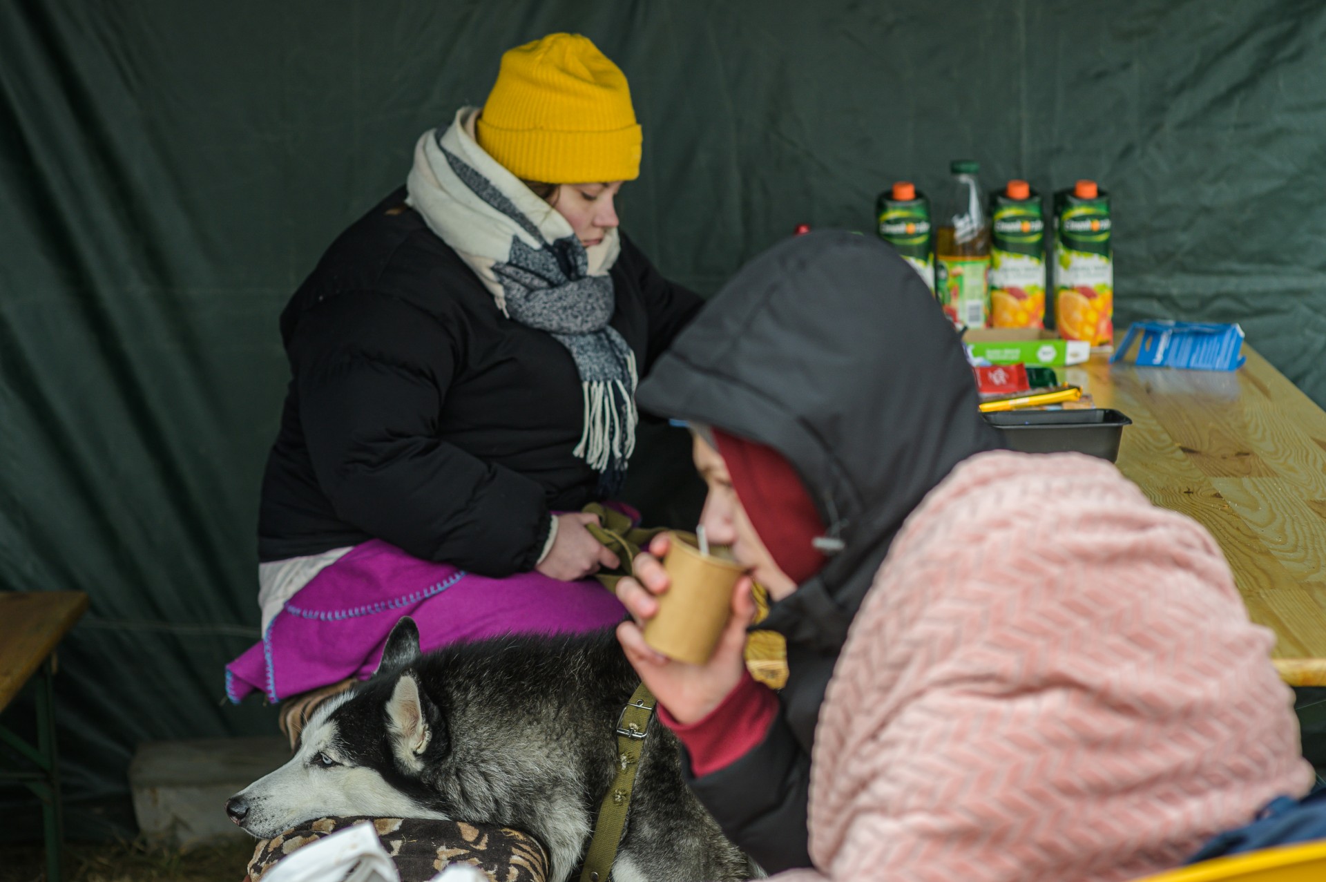 Pasienyje susisukusi į pledą ant suoliuko sėdi Aliona iš Žytomyro. Padėjęs galvą prie jos kojos, lyg apie kažką mąstydamas, šalia sėdi vienmetis haskis vardu Dzeusas.