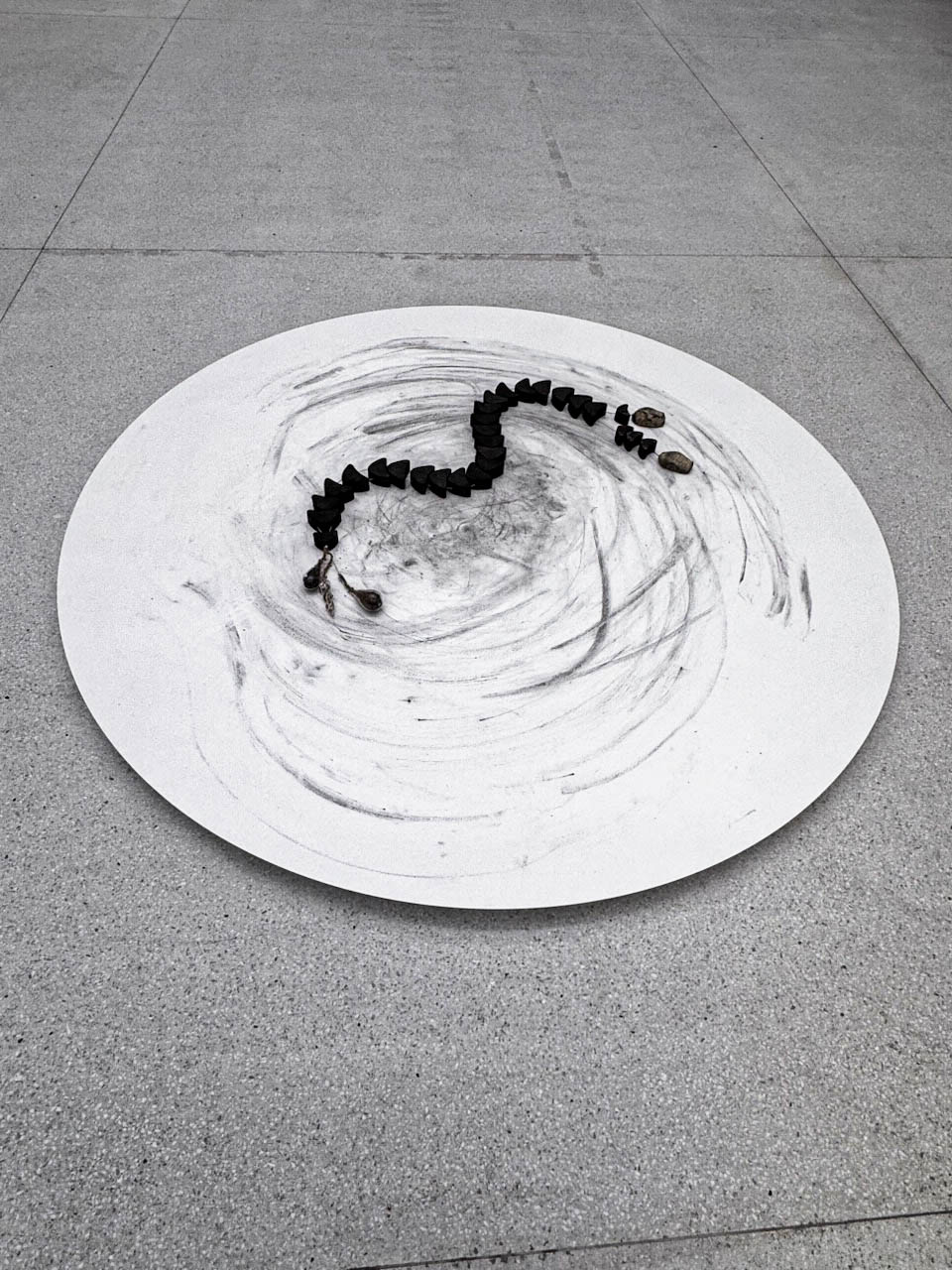 Christian Salablanca „Hueso de culebra (Instaliacija #2)“ (2021). ©Eglė Elena Murauskaitė