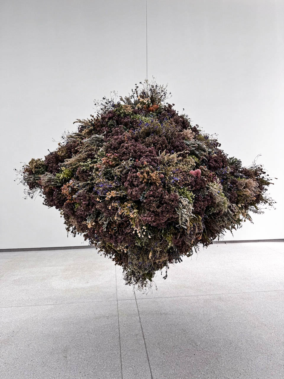 Emilija Škarnulytė „Herbaria“ (2024). ©Eglė Elena Murauskaitė