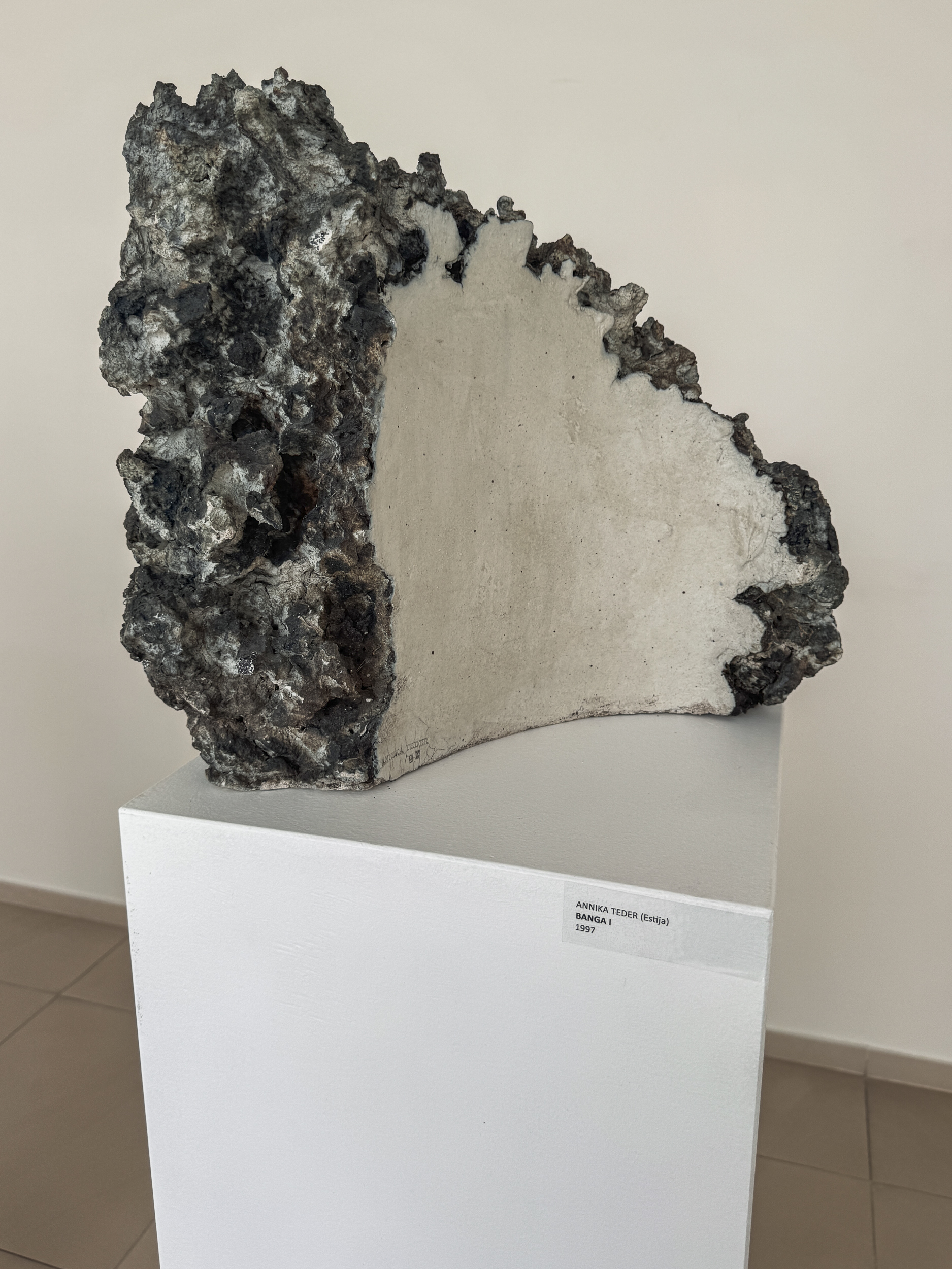 Annika Teder „Banga I“ (1997). ©Eglė Elena Murauskaitė