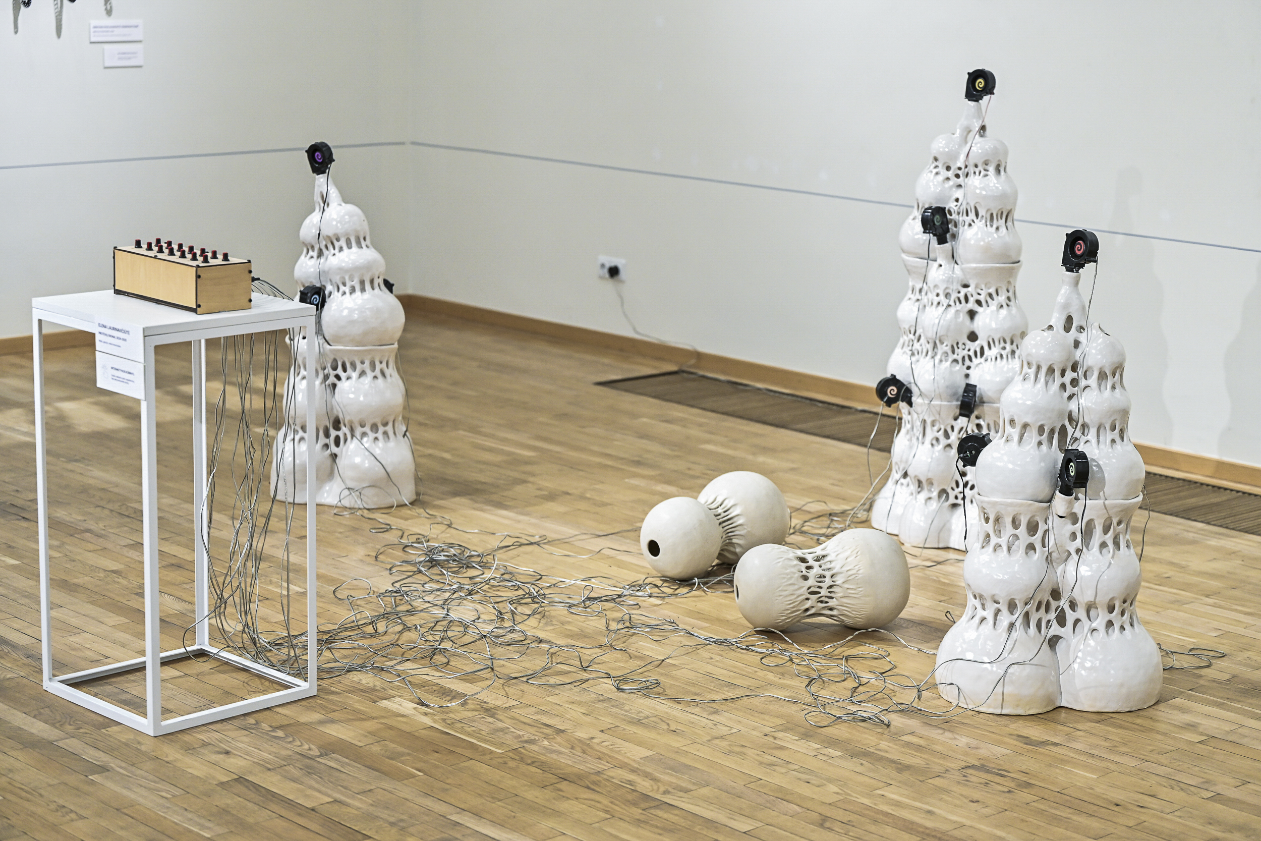 Elena Laurinavičiūtė „Protėvių dronai“ (2024–2025). ©Gediminas Kartanas