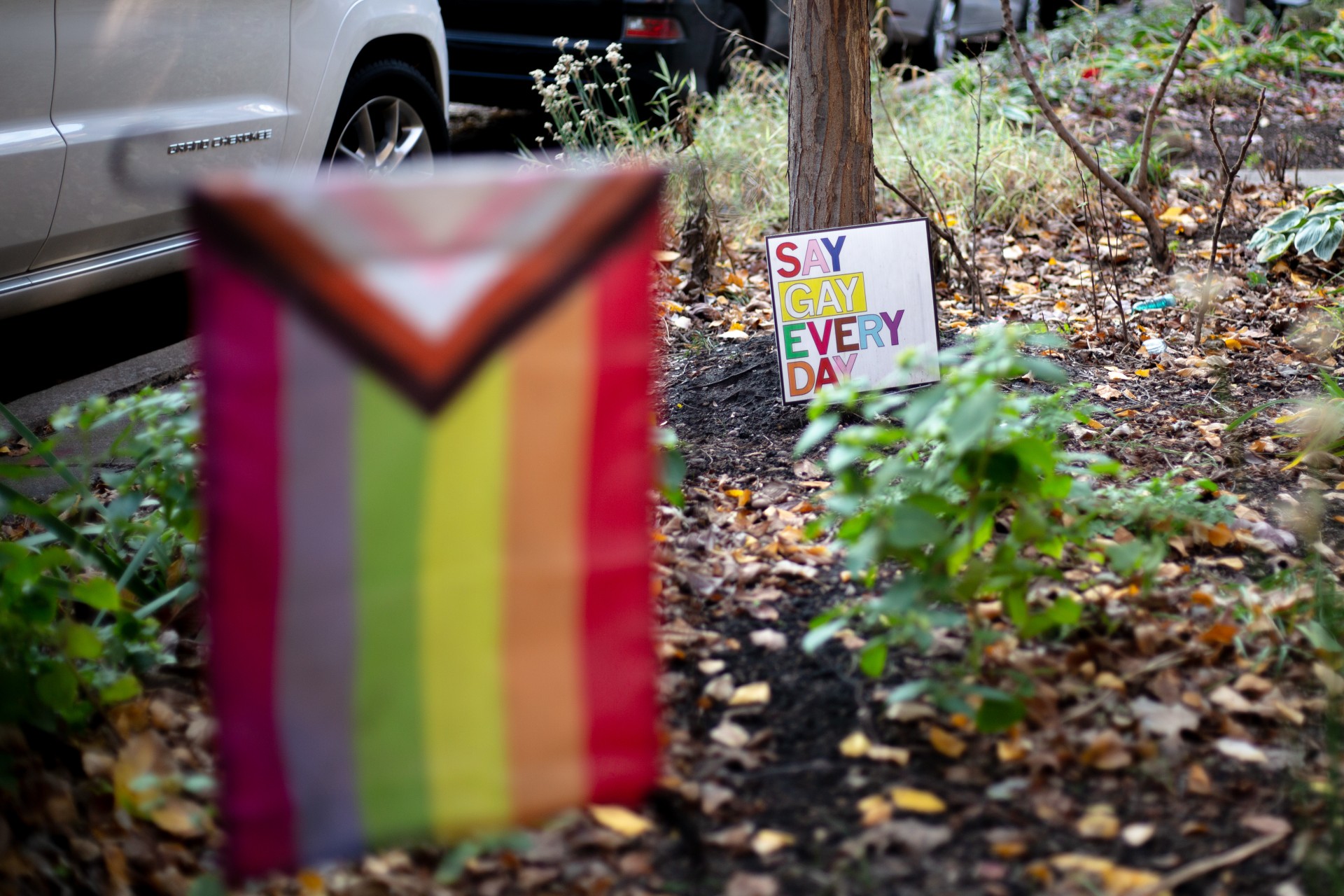 Andersonvilyje įsmeigtas „Say gay every day“ ženklas, kurį galima nusipirkti „Raygun“ parduotuvėje. ©Audra Skuodaitė