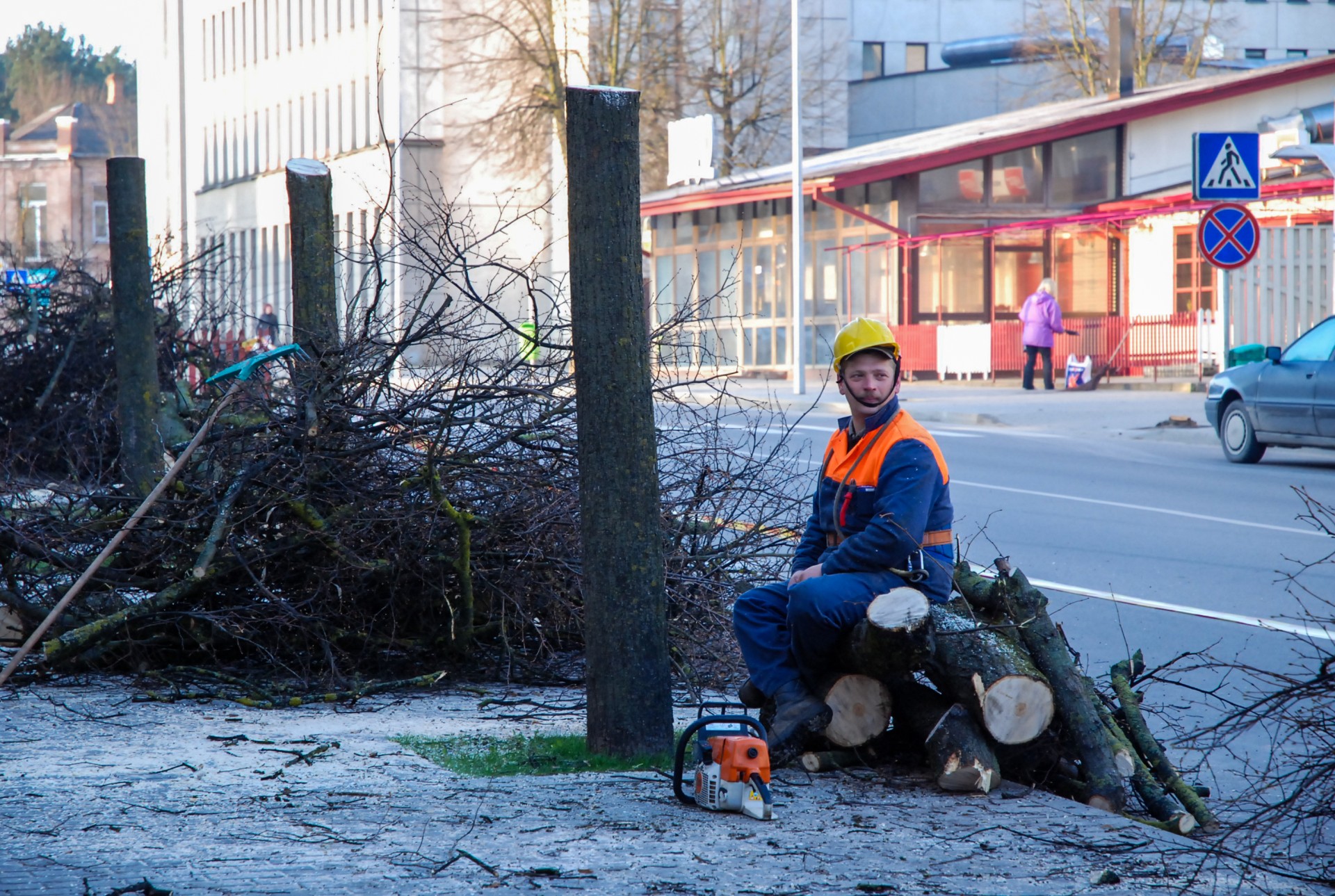 Savivadybė nusprendė iškirsti paprastuosius ir uosialapius klevus Laisvės angelo aikštėje ir alėjose, vedančiose link jos. ©Douglas Green