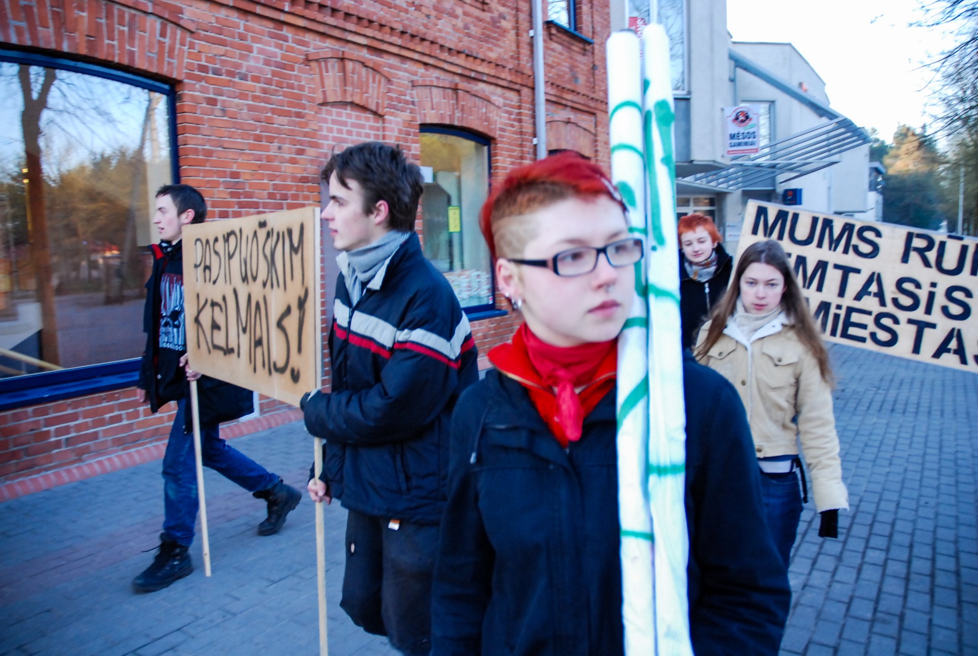 2008-ųjų balandį būrys aplinkosaugos aktyvistų susirinko apsaugoti Alytaus miesto sode augančių brandžių klevų. ©Douglas Green