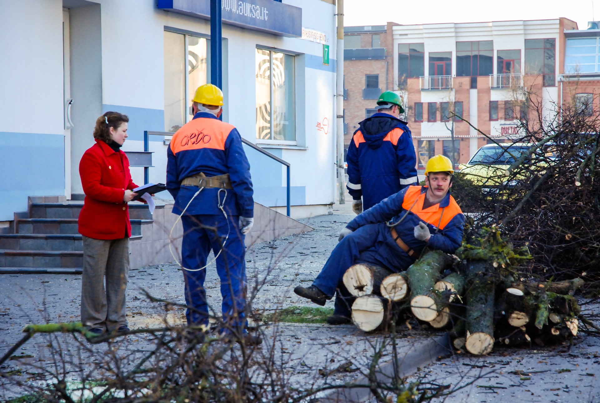 2008-ųjų balandį pradėti kirsti brandūs klevais Alytaus miesto sode ir alėjose, vedančiose link jo. ©Egidija Kačinskaitė