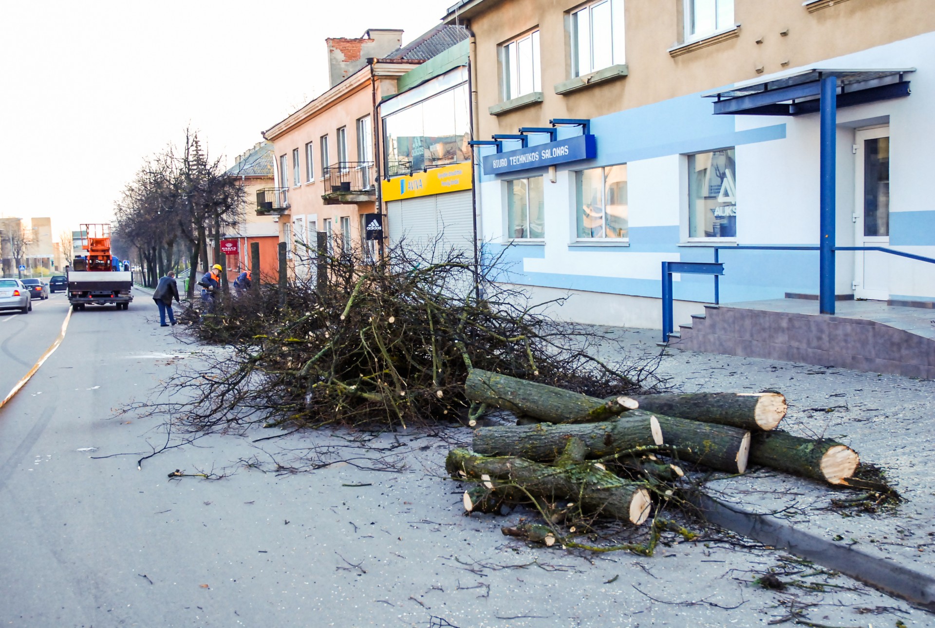 Gavusi europinę paramą, Alytaus miesto savivaldybė pradėjo miesto sodo rekonstrukciją. ©Douglas Green