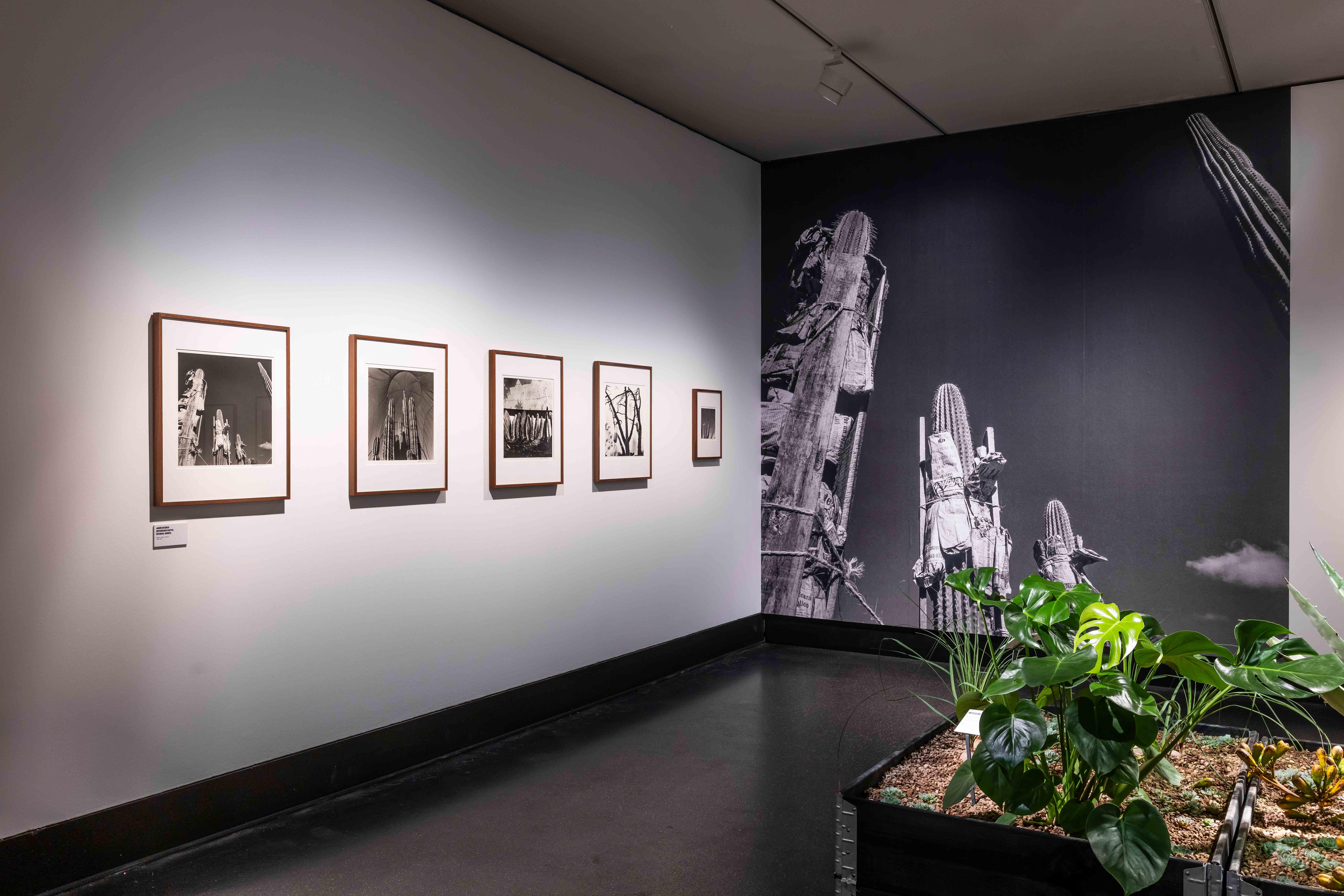 Graciela Iturbide. Eyes to Fly With, installation view at C/O Berlin, 2026 © C/O Berlin Foundation, David von Becker