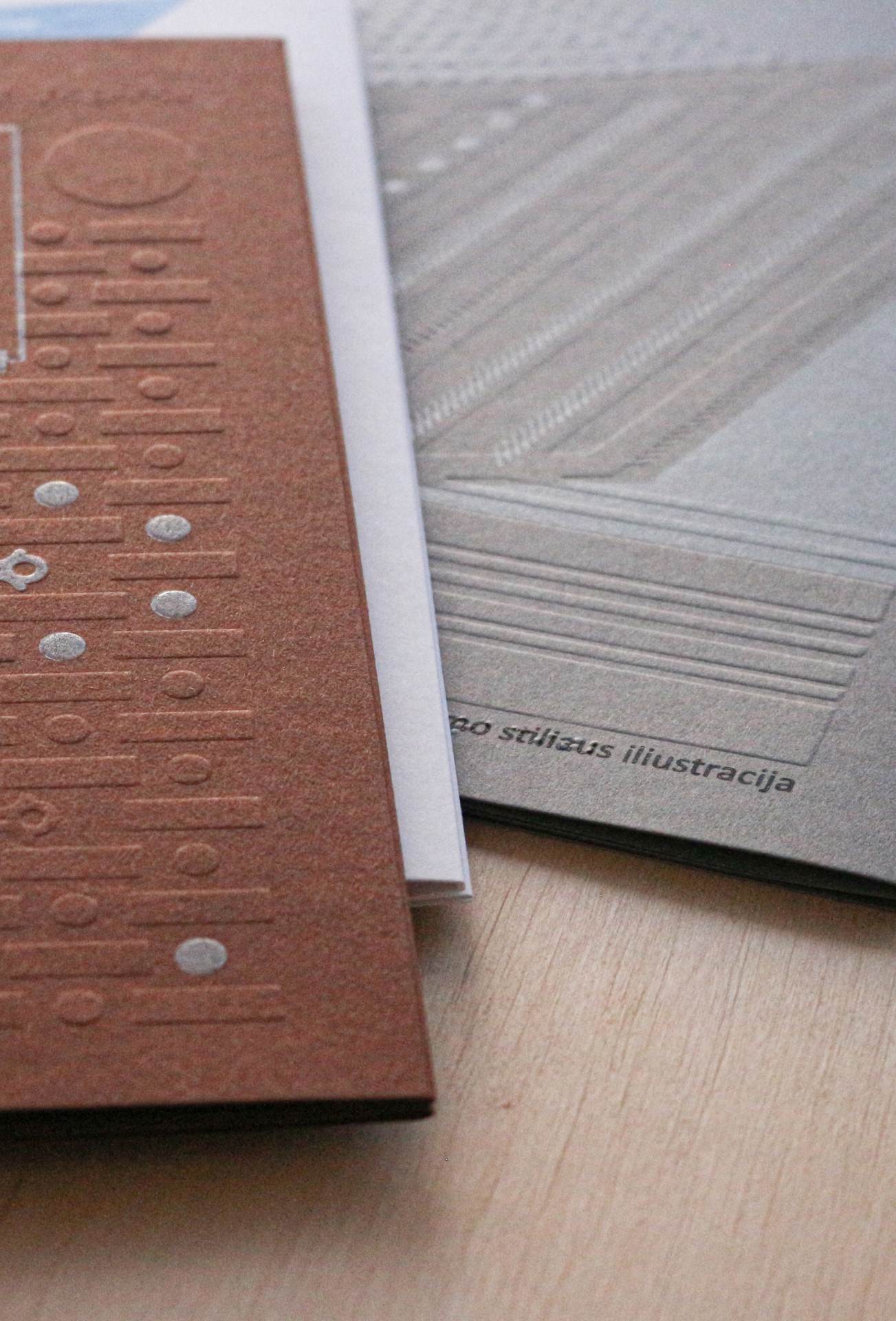 Rasos Chmieliauskaitės projekto „[NE]matoma architektūra“ tekstų knyga. ©Inga Navickaitė