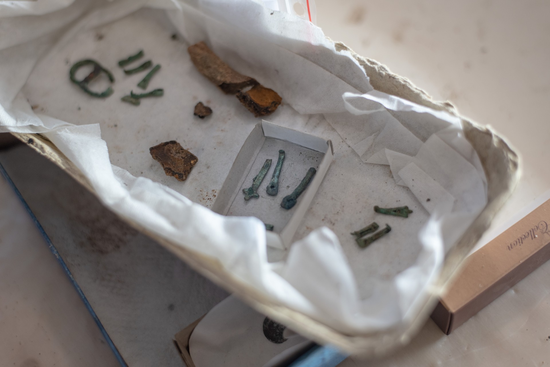 Archeologiniai radiniai Arūno dirbtuvėse. ©Severina Venckutė