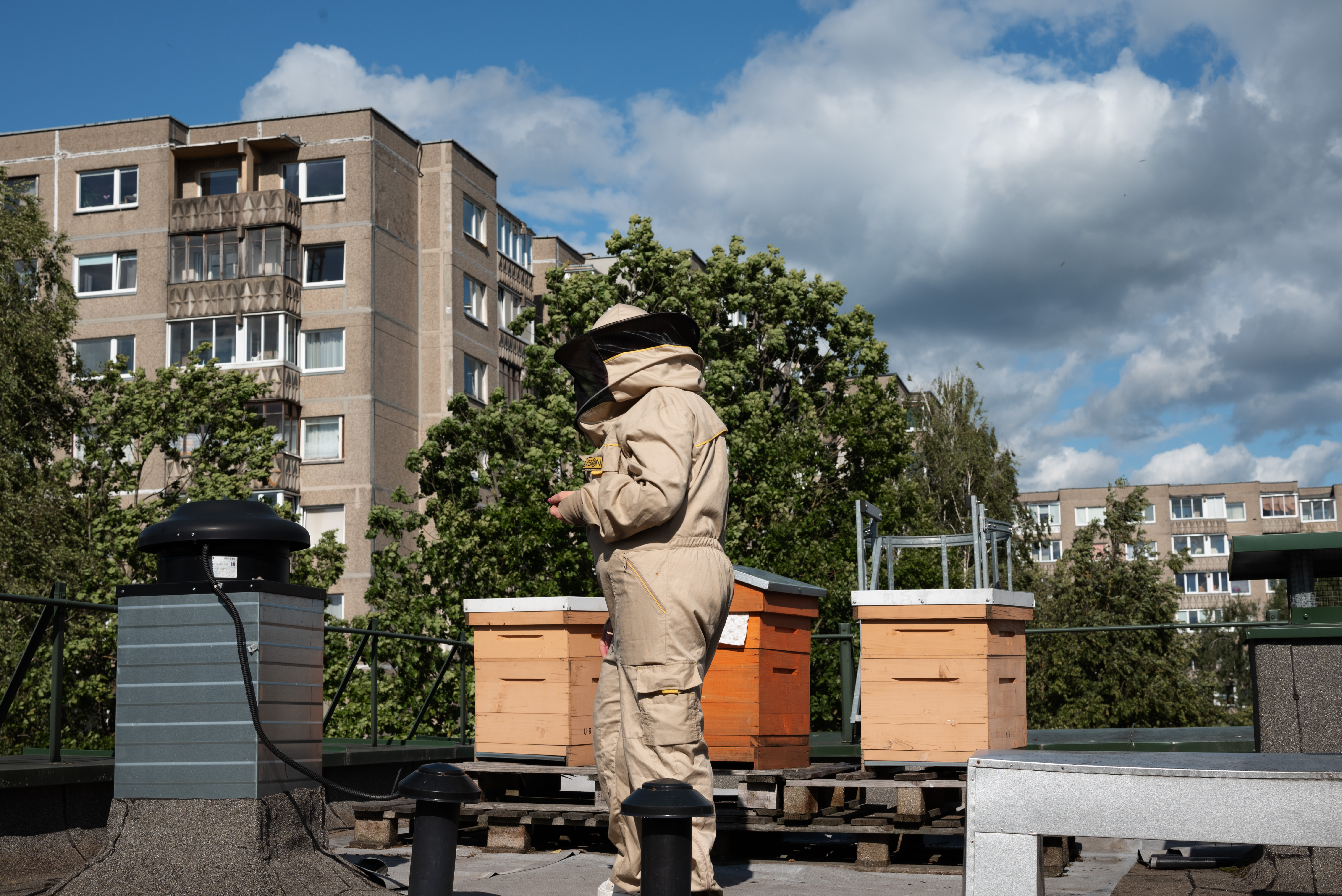 Vaikai ant darželio stogo užlipti negali – jiems nesaugu. Bet gali stebėti avilius per kamerą darželio tinklalapyje. ©Julija Stankevičiūtė