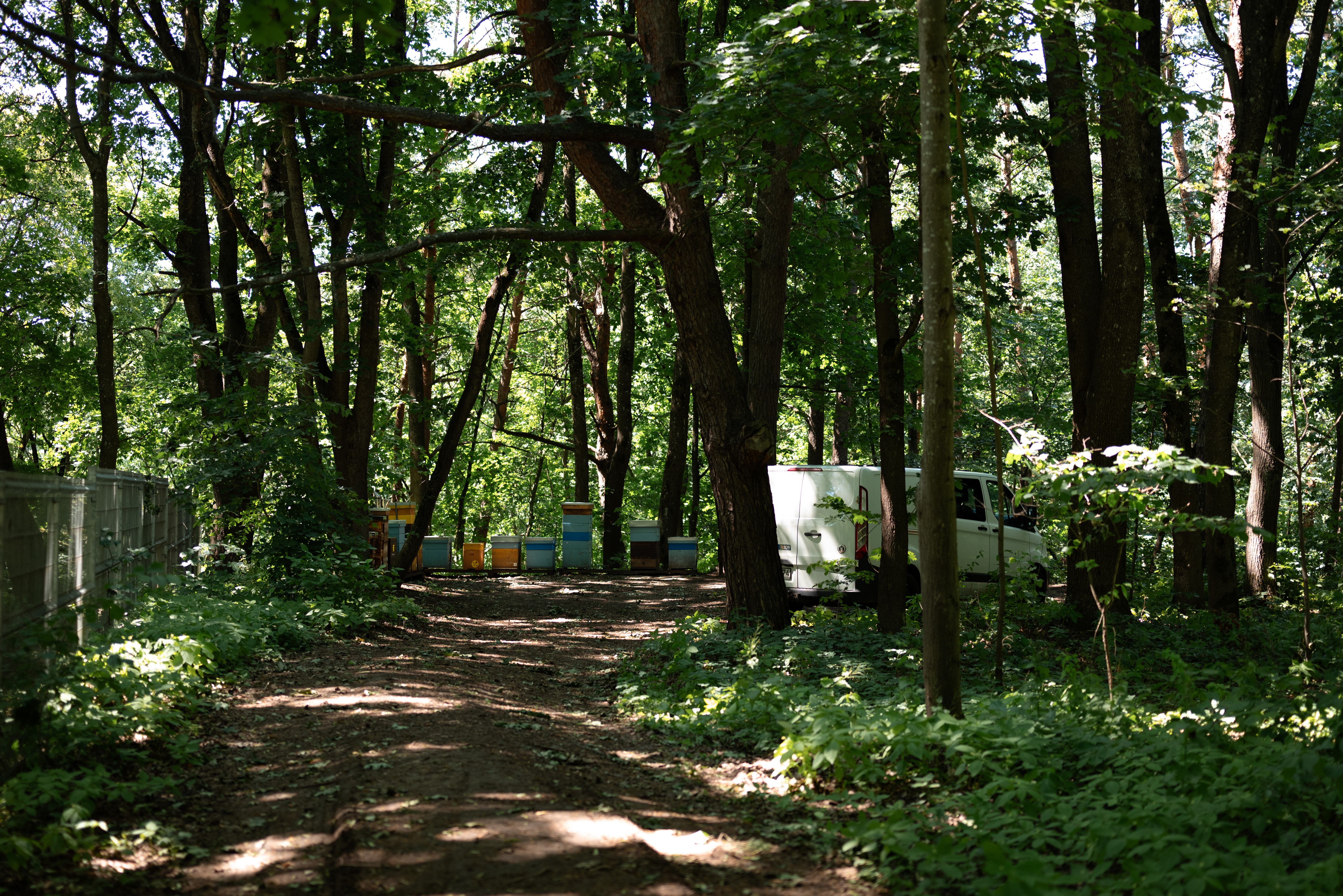 Bičių aviliai Vingio parke, kuriuos prižiūri bitininkas Tomas Staučė. ©Julija Stankevičiūtė