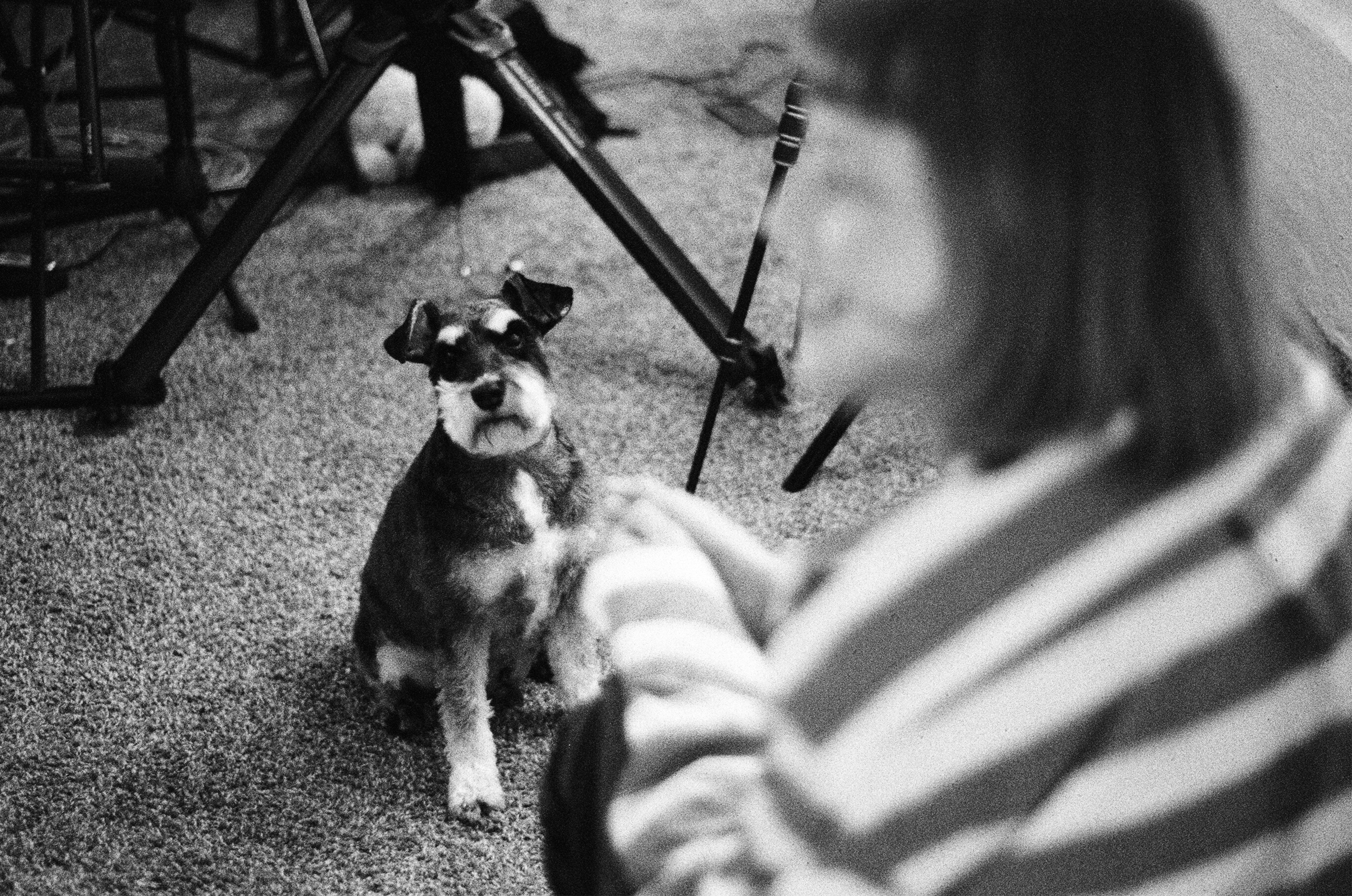 Leo, repeticijų palydovas ir įrašo dalyvis. ©Justė Urbonavičiūtė