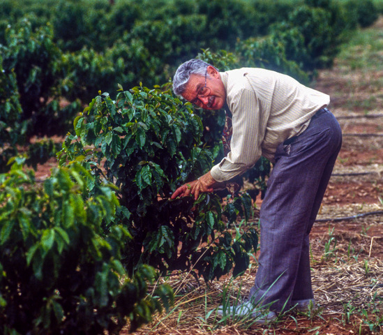 Simonas Zukas prie kavos pupelių savo ūkyje Zambijoje. ©David Zukas