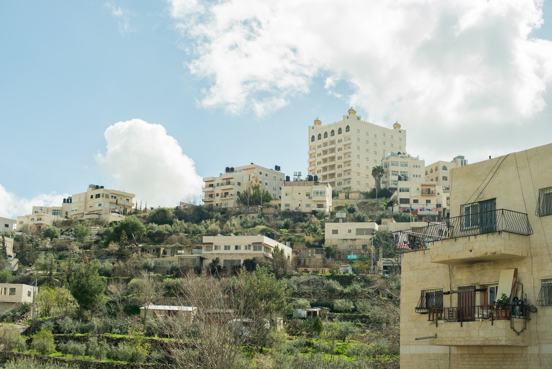 Palestinos kraštovaizdis. ©Mindaugas Drigotas