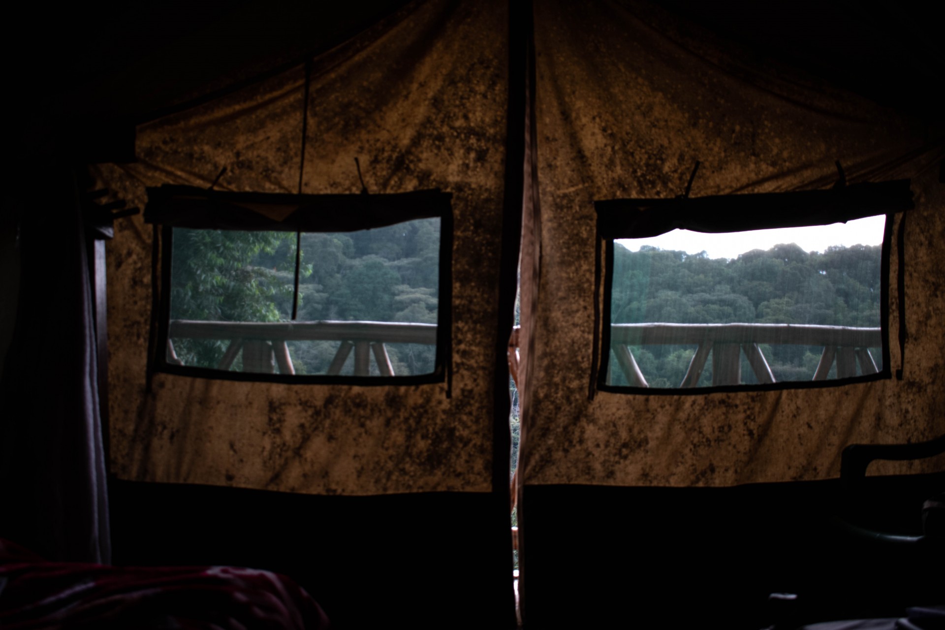 Svečių namuose „Ruhija Community Rest Camp“ galima nakvoti ir palapinėse. Čia laikomasi tvarumo principų: elektronikos prietaisams pakrauti elektra įjungiama tik vakare, apšvietimui naudojama saulės energija, o dušo vanduo pašildomas tik paprašius. ©Julija Stankevičiūtė