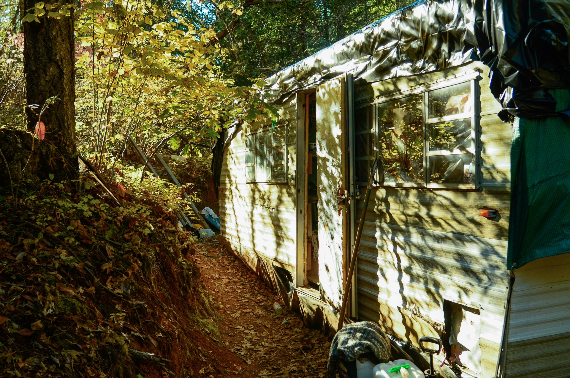 Pietų Oregono miškuose paslėptas kanapių džiovinimo kambarys, 2013 m.