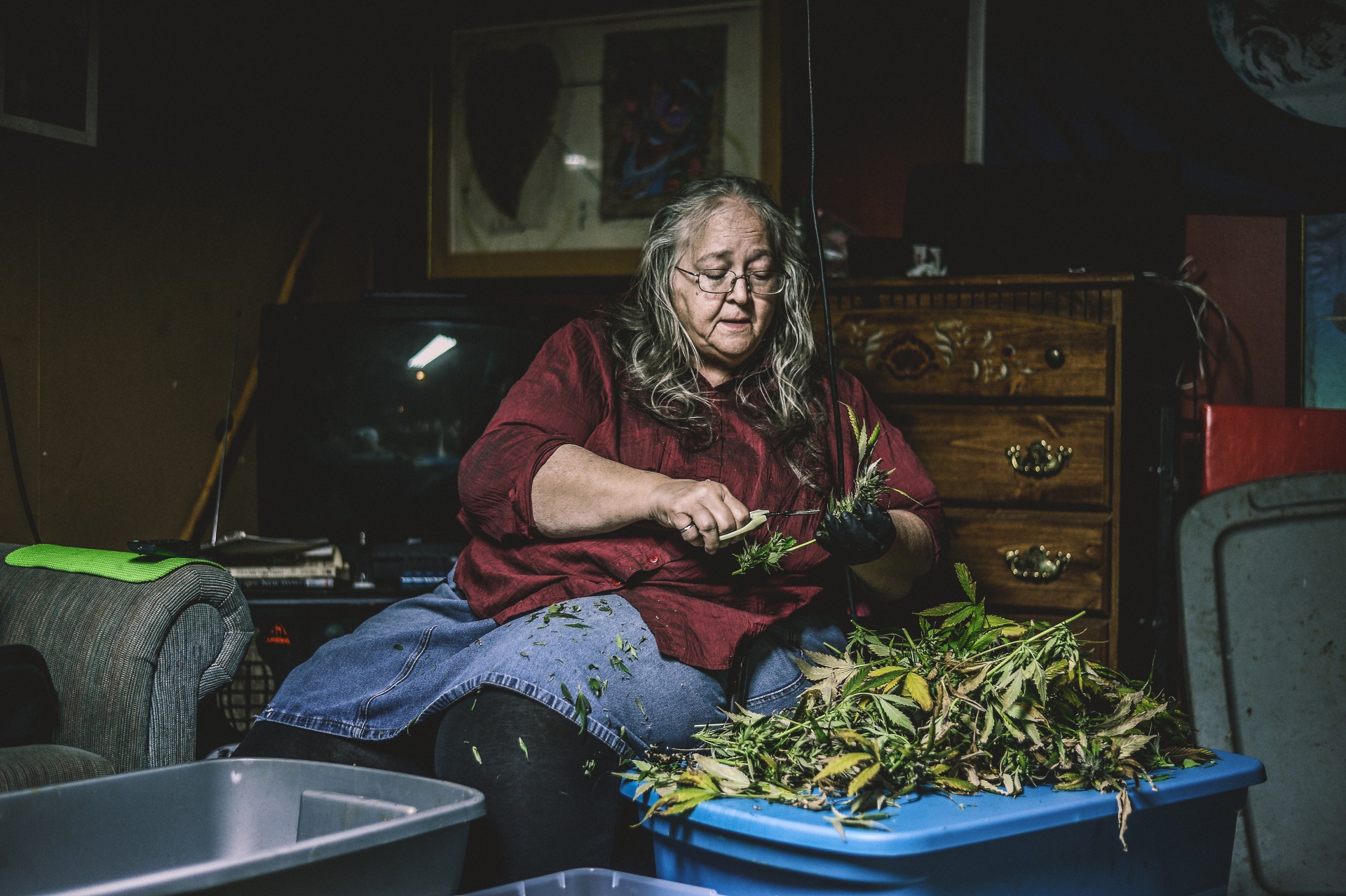 Helen tris savo sūnus užaugino ankštame „Volkswagen“ autobusiuke. Aštuntajame dešimtmetyje ji išvyko į Oregono pietus ir nuo to laiko čia su sūnumis augina kanapes.  Cave Junction, Pietų Oregonas, 2015 m.