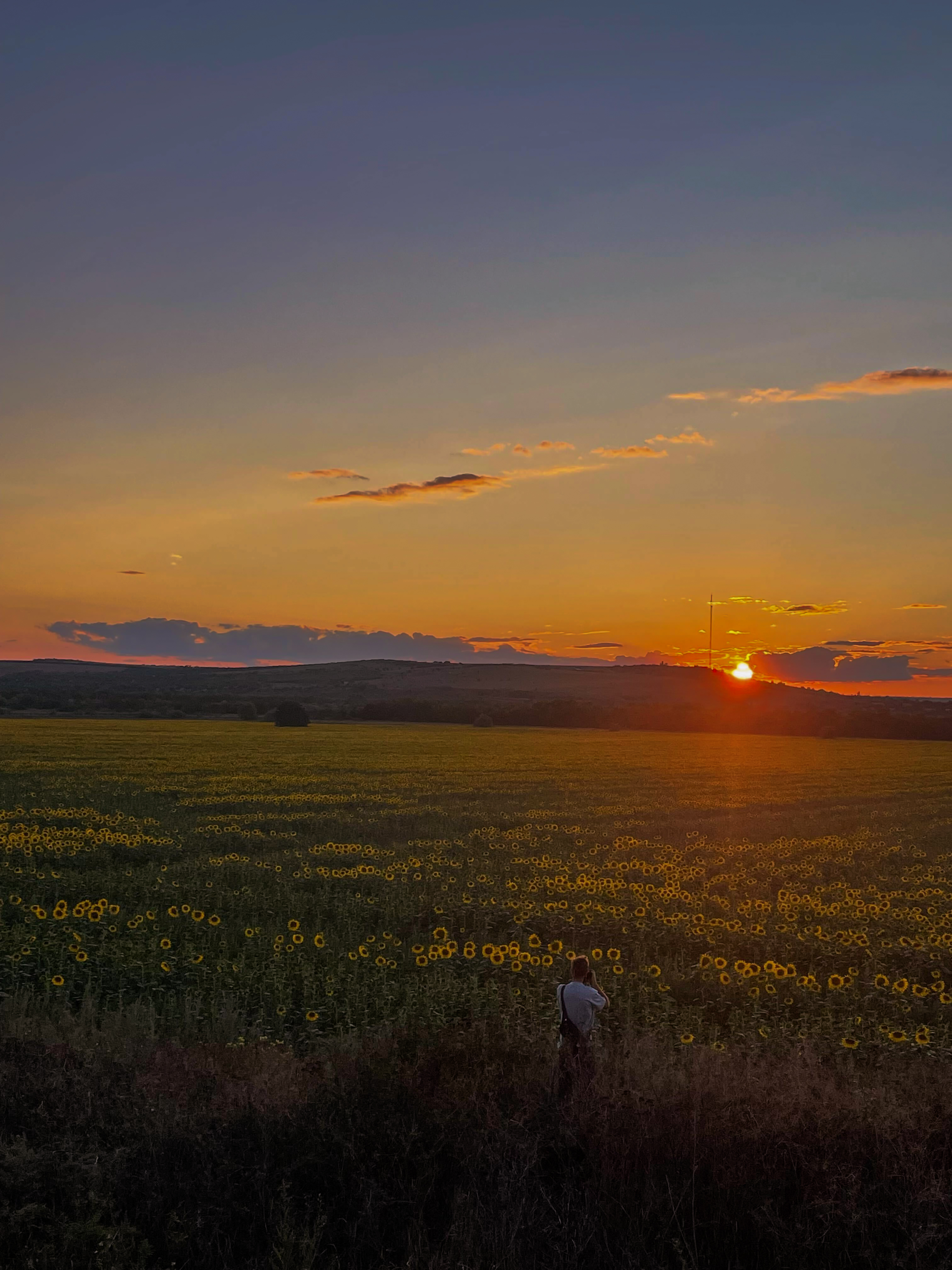 Denis fotografuoja Donbaso saulėgrąžų laukus, netoli Kramatorsko. ©Sigita Vegytė