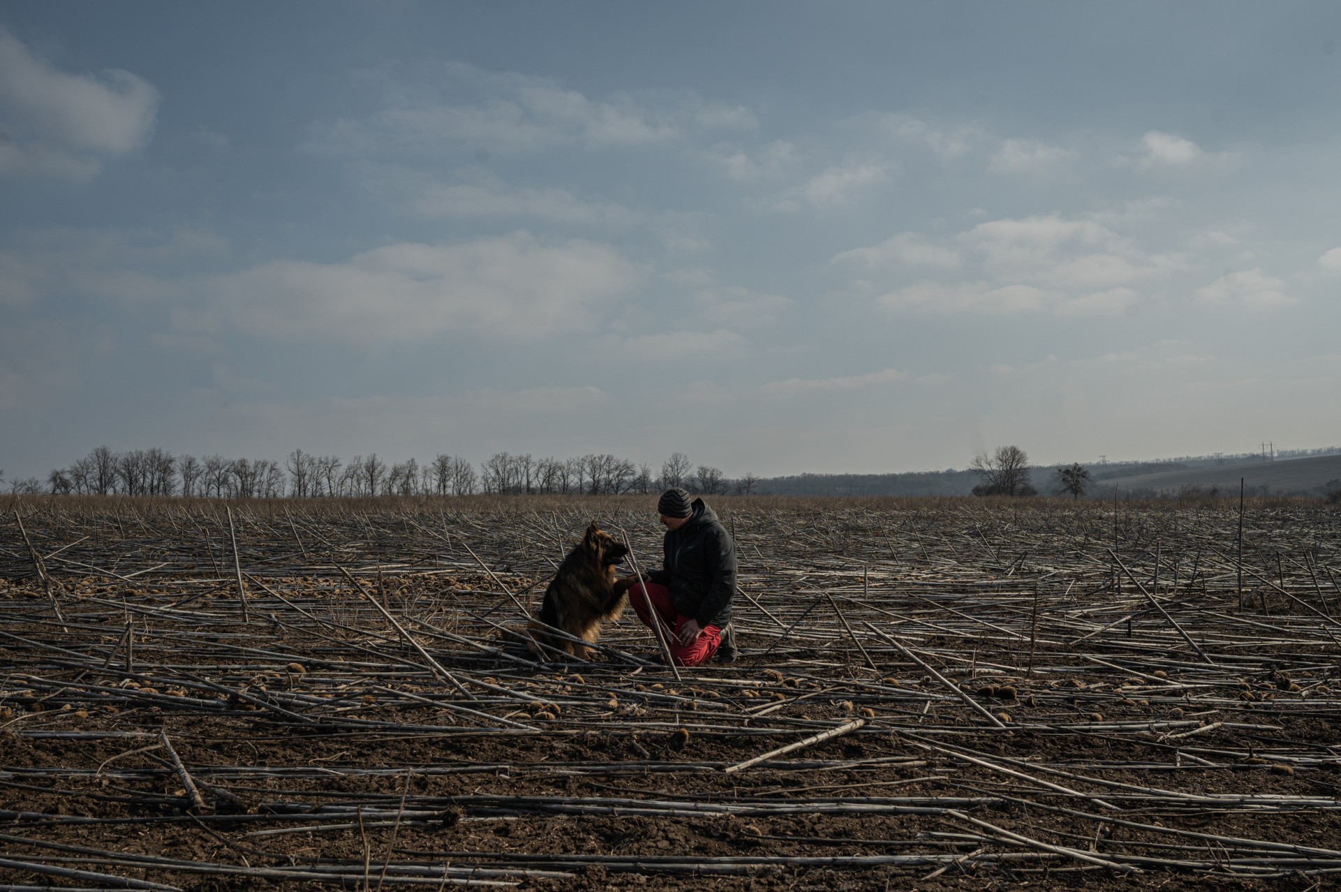 Volodymiras ir šeimos šuo nuo sprogmenų išvalytame Kornyičių lauke. ©Denis Vėjas